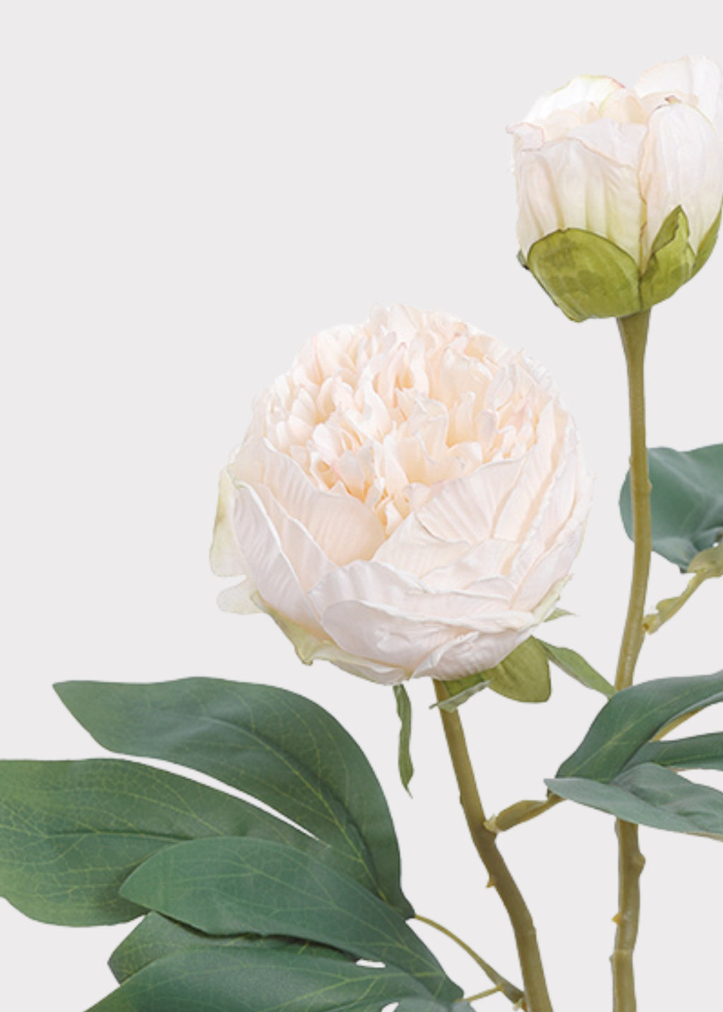 Petite Peony Fake Flower in Cream Blush - 19"