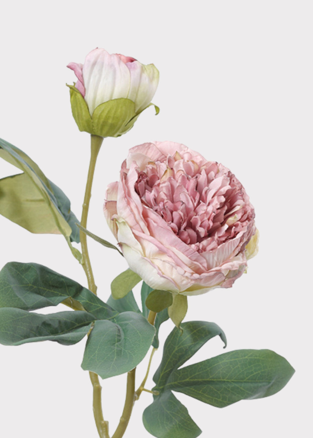 Close-up of Lavender Artificial Peony