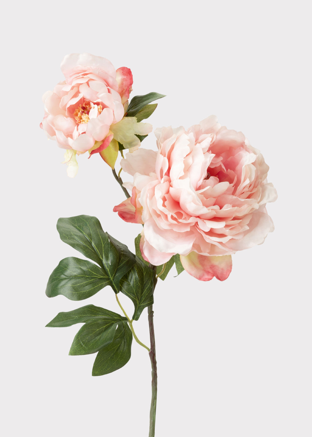 Faux Pink Peony