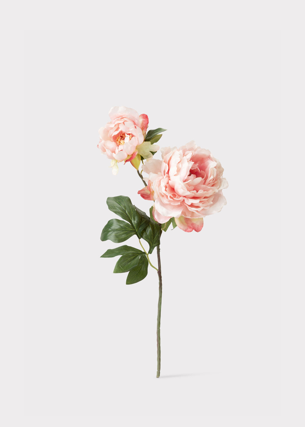 Pink Artificial Blooming Peony with Bud
