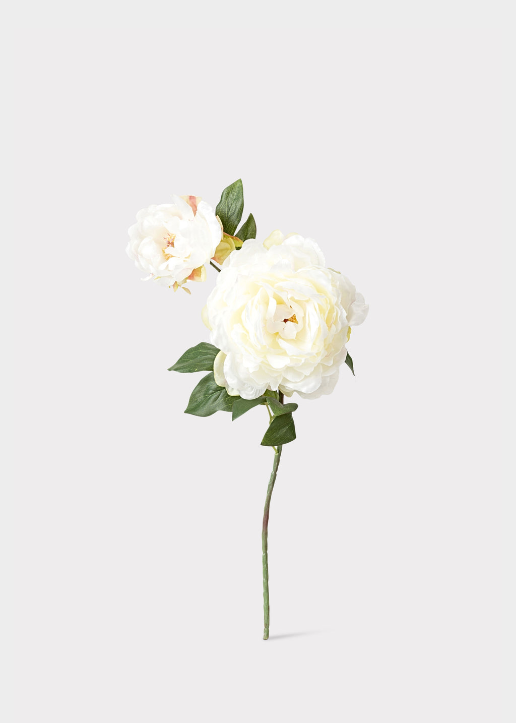 Cream Fake Blooming Peony with Bud 