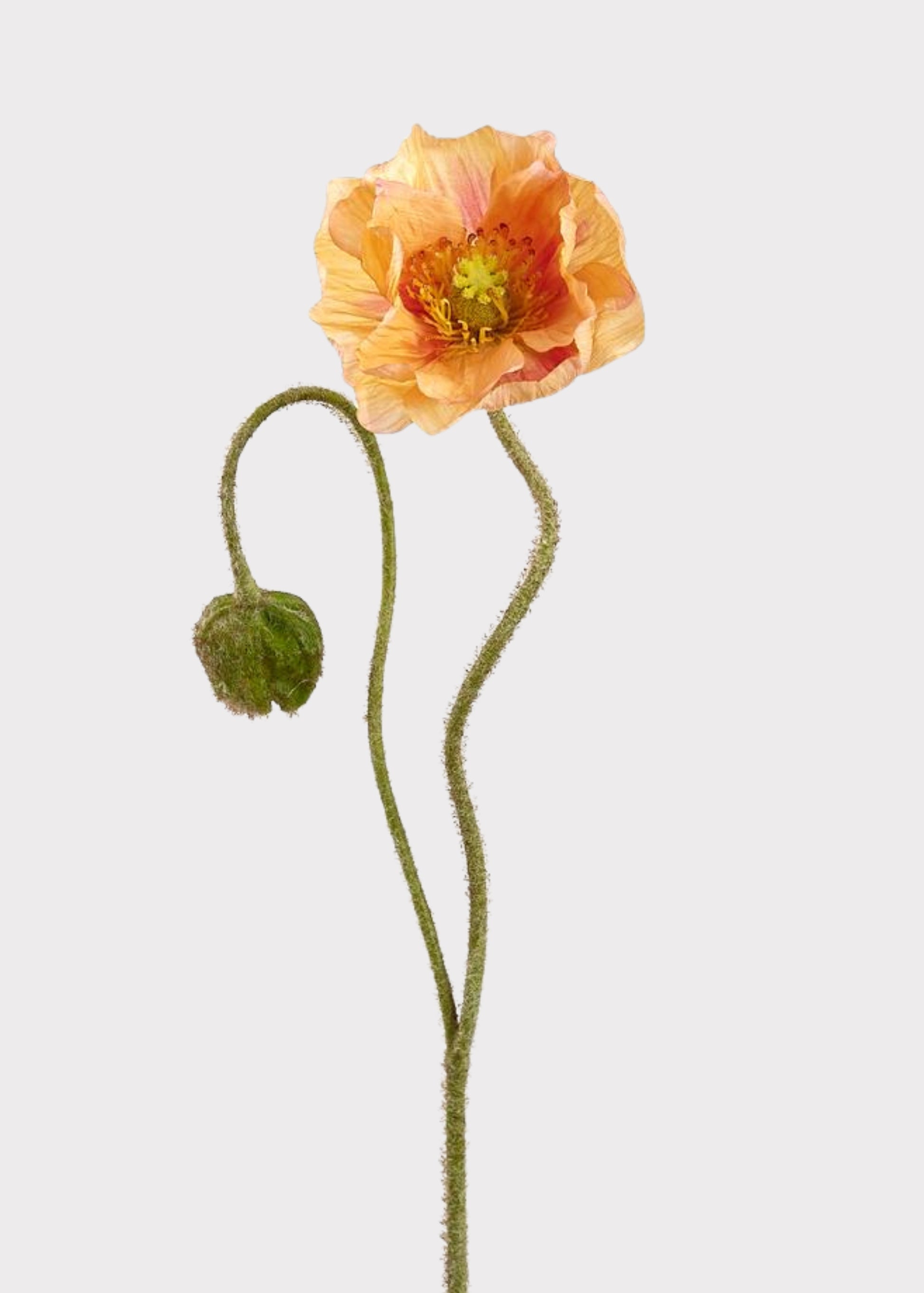 Coral artificial poppy flower stem with lifelike petals and bud