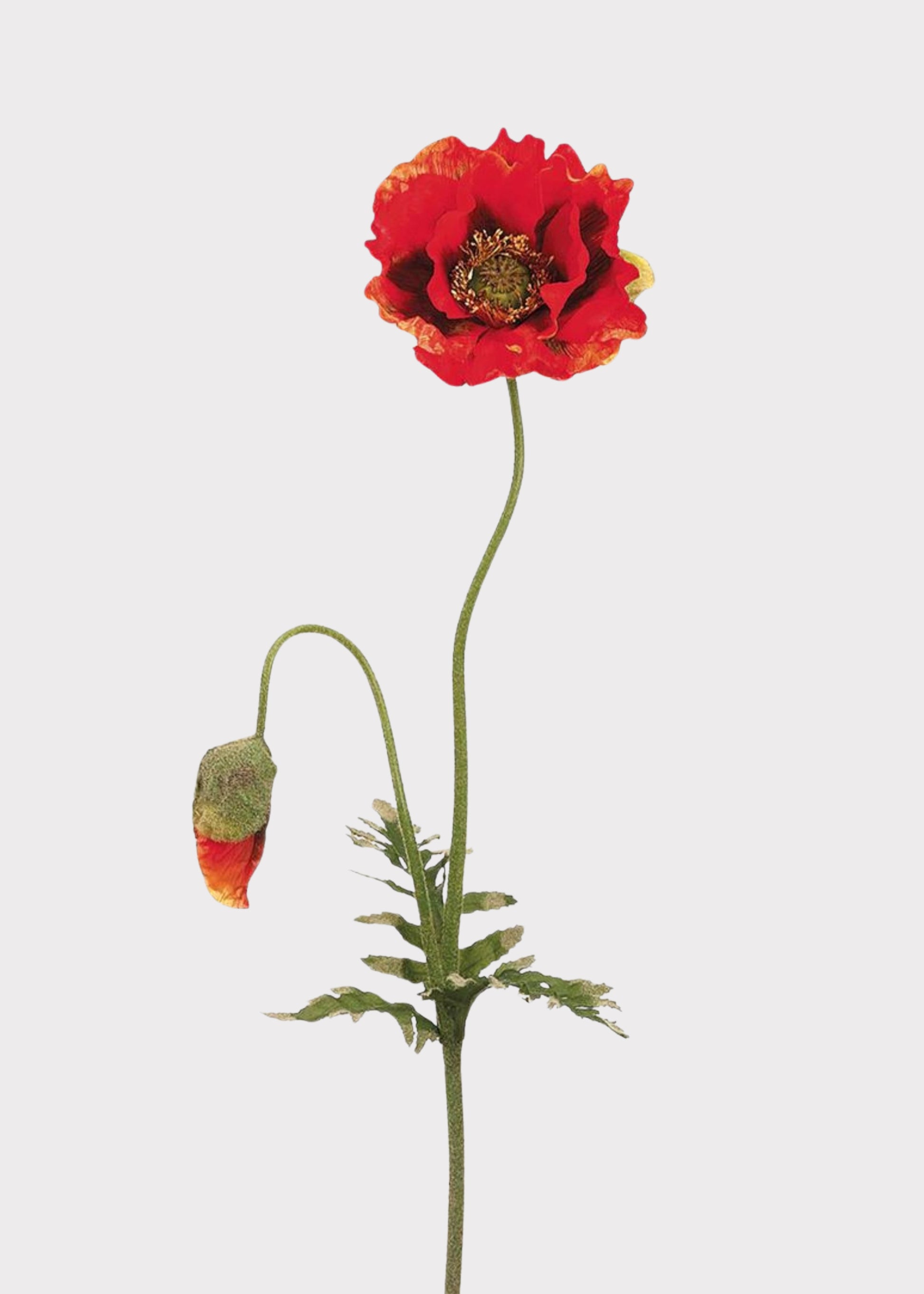 Fake Poppy Flower