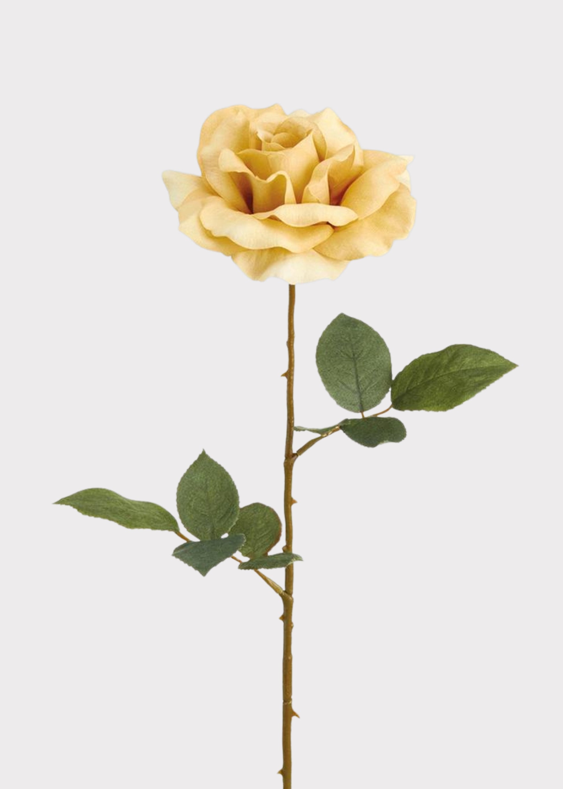 Beige artificial rose stem