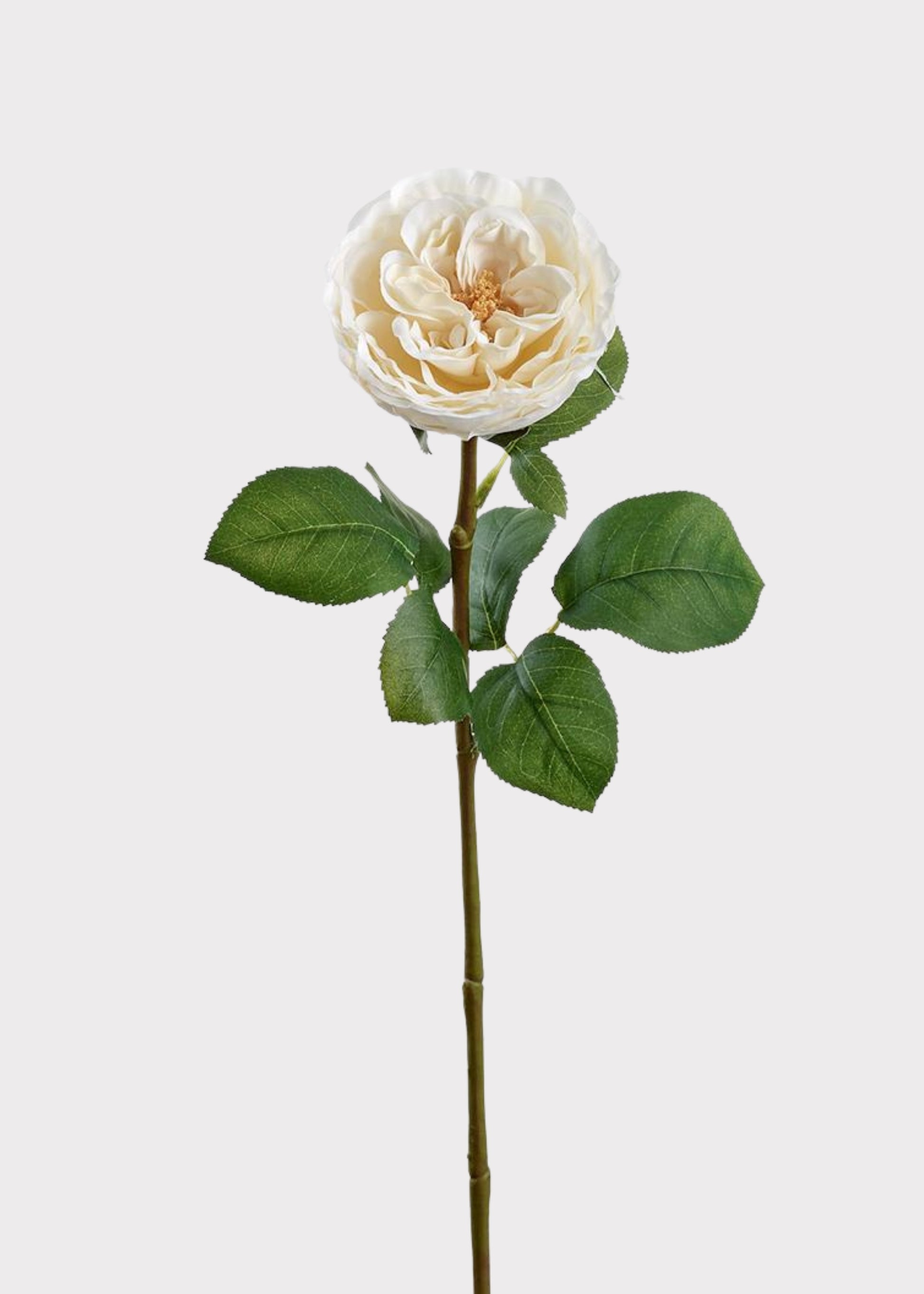 Fake Flower Rose in Cream