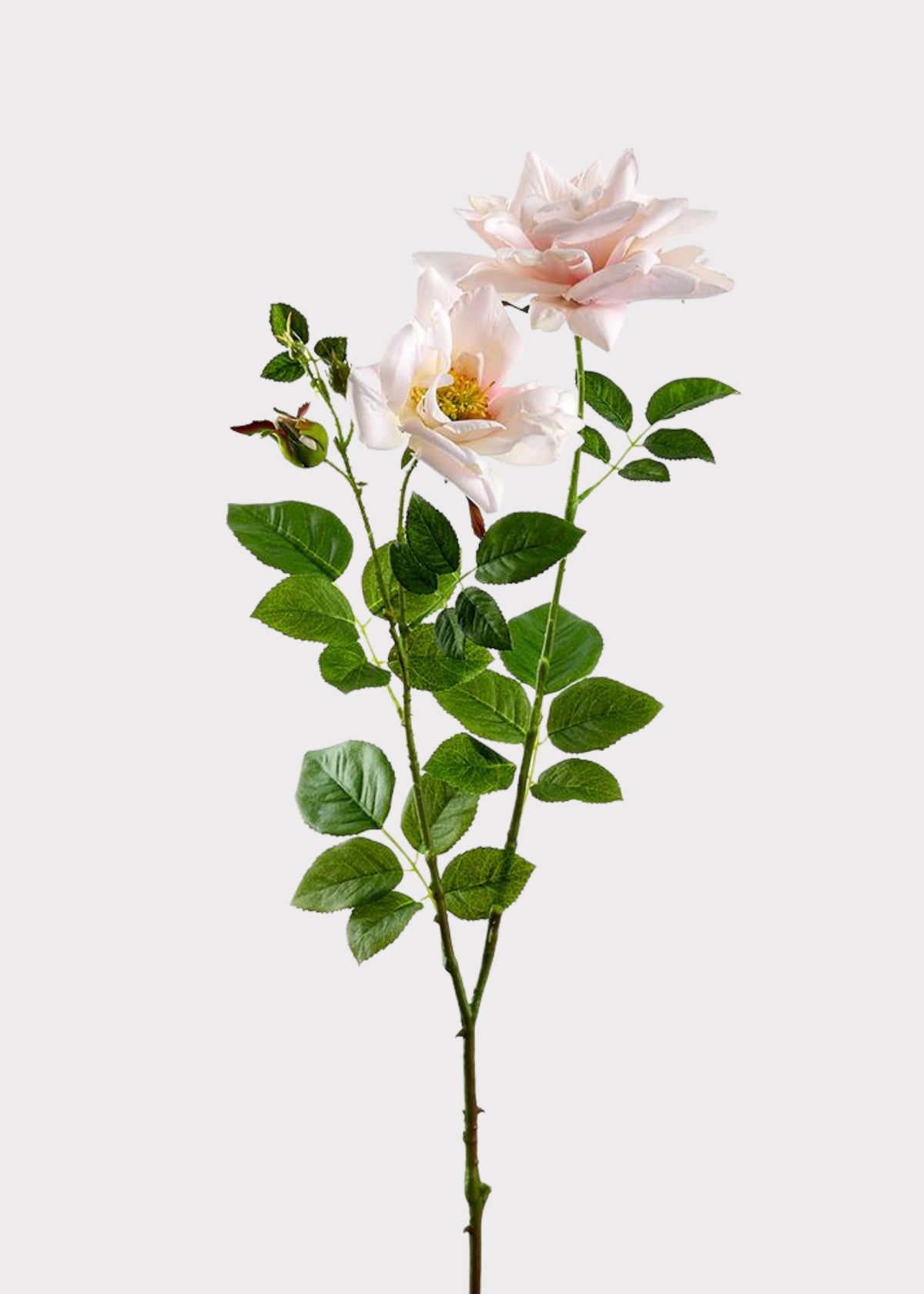 Blush Artificial Tall Garden Rose Flowers Stem
