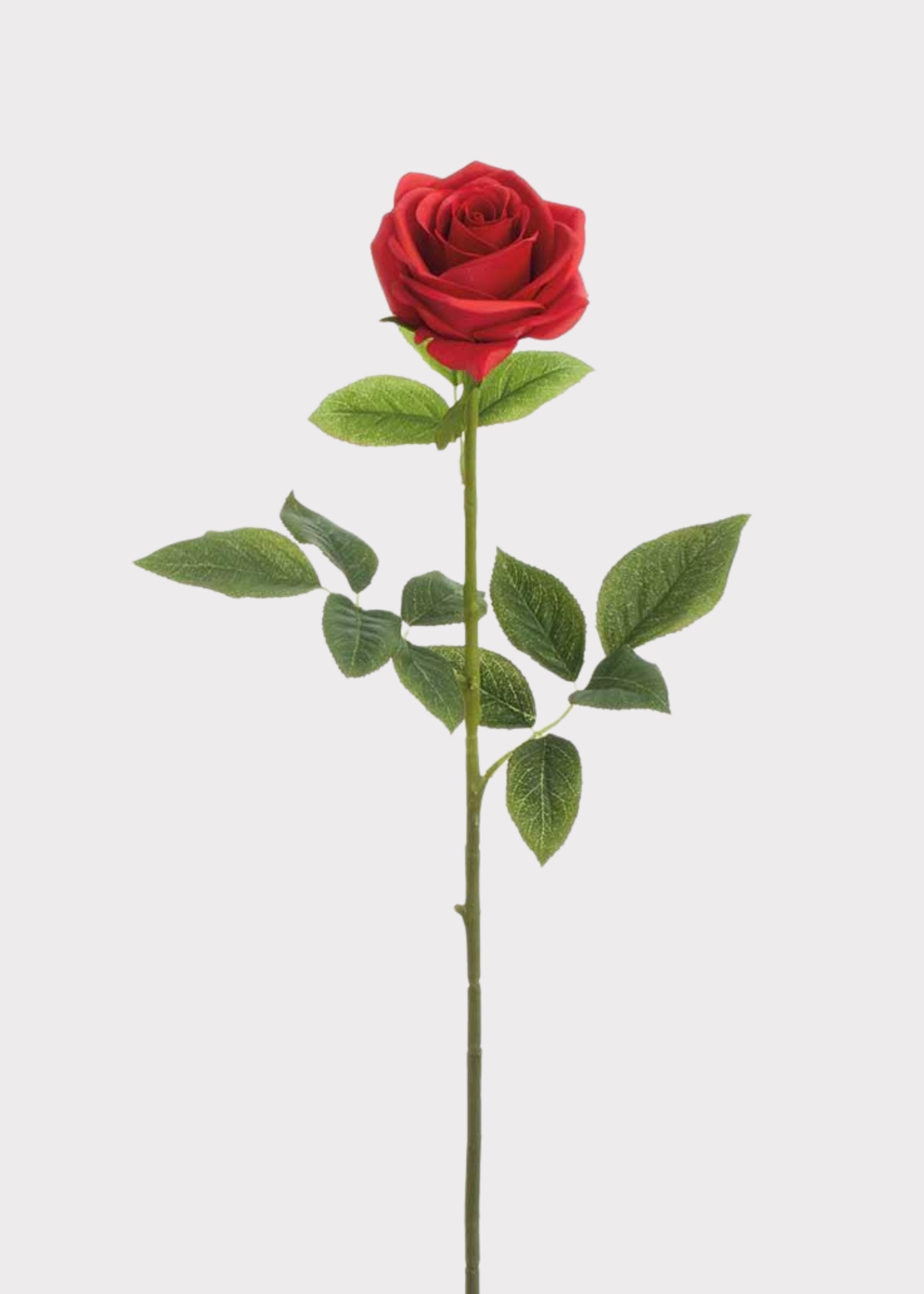 Red Real Touch Rose Artificial Flower - 27