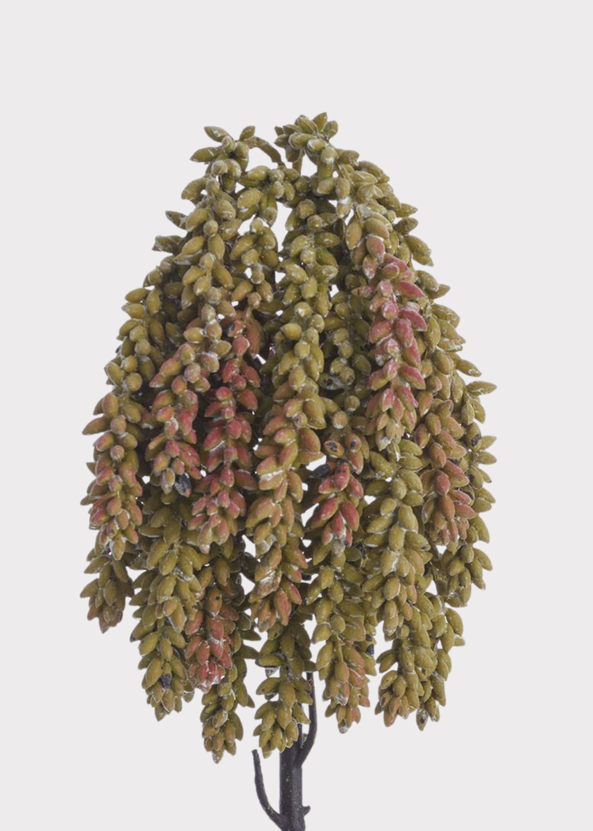 Artificial Succulents Green Sedum Hanging Stem