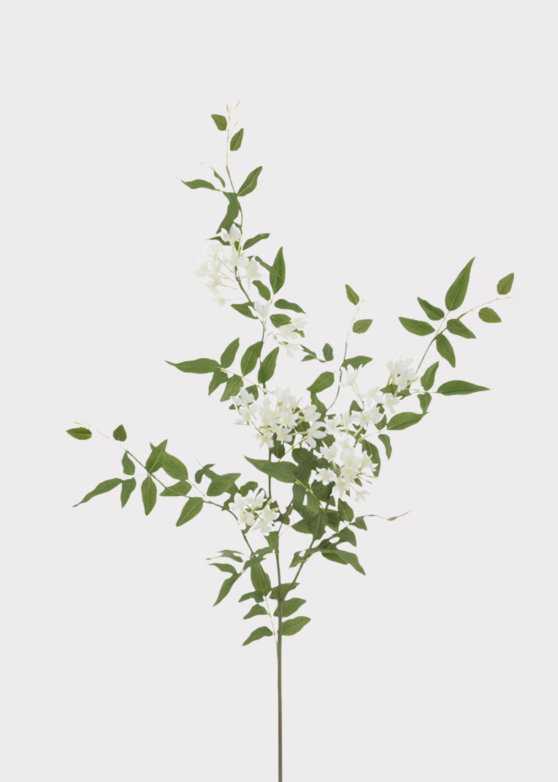 Tropical Fake Stephanotis Blooming Flower Branch in Whit