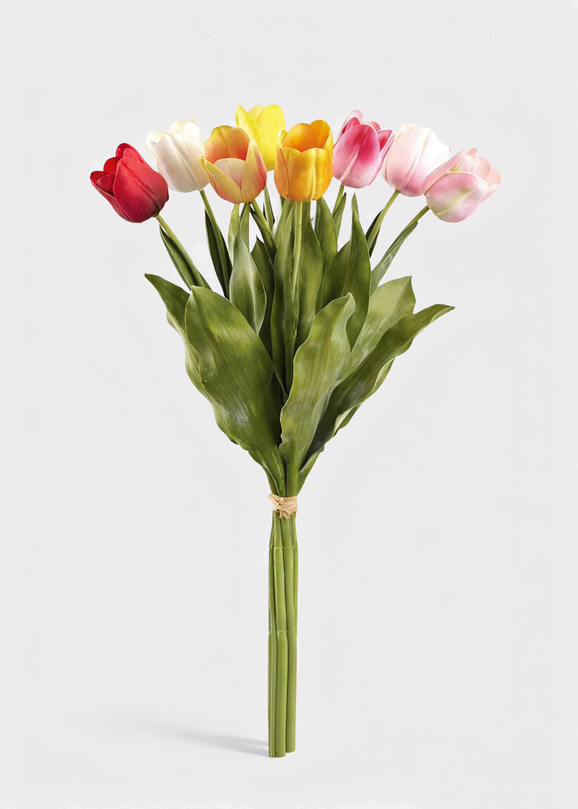 Multi-color Tulip Bundle