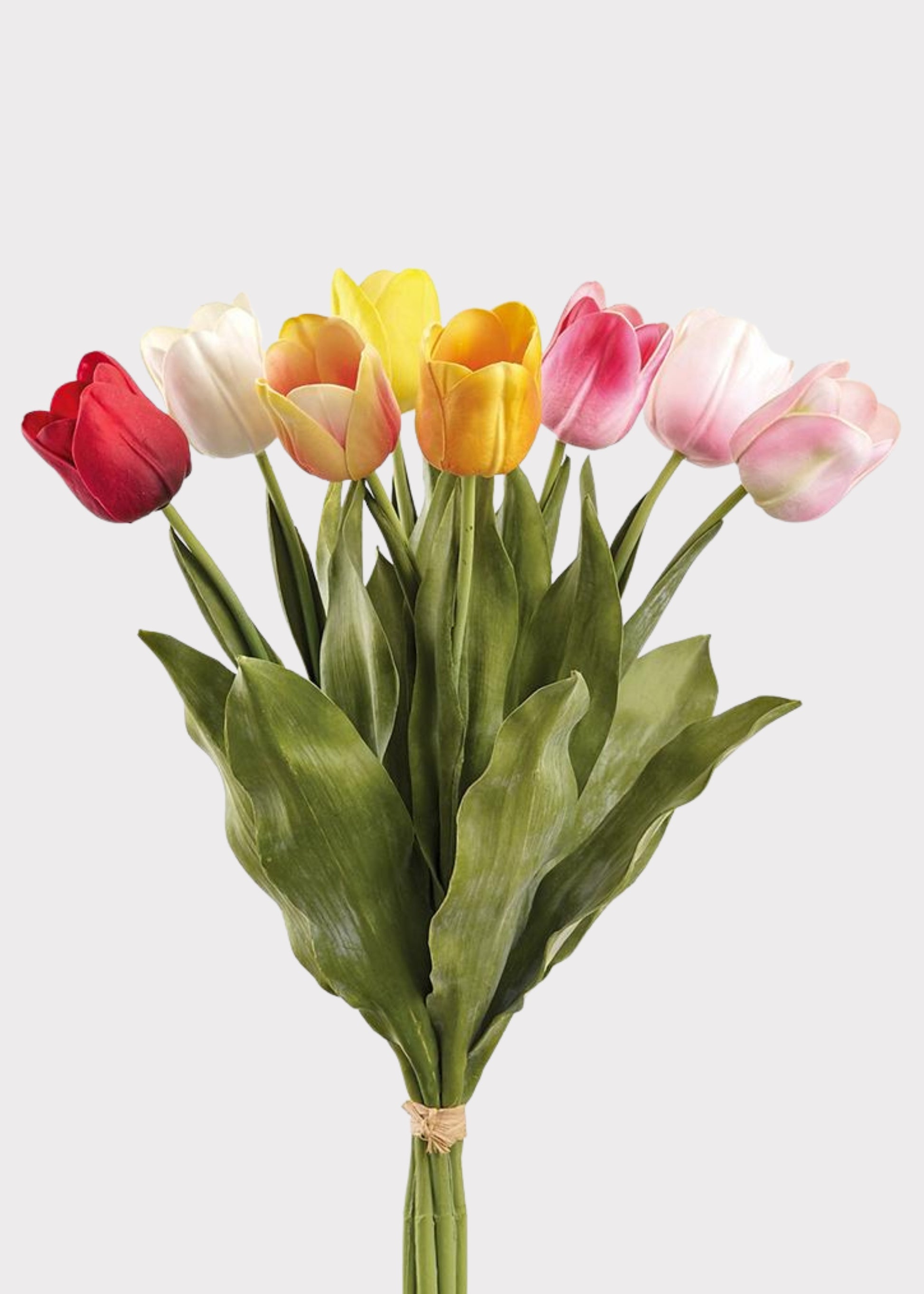 Colorful Tulip Flower Bundle