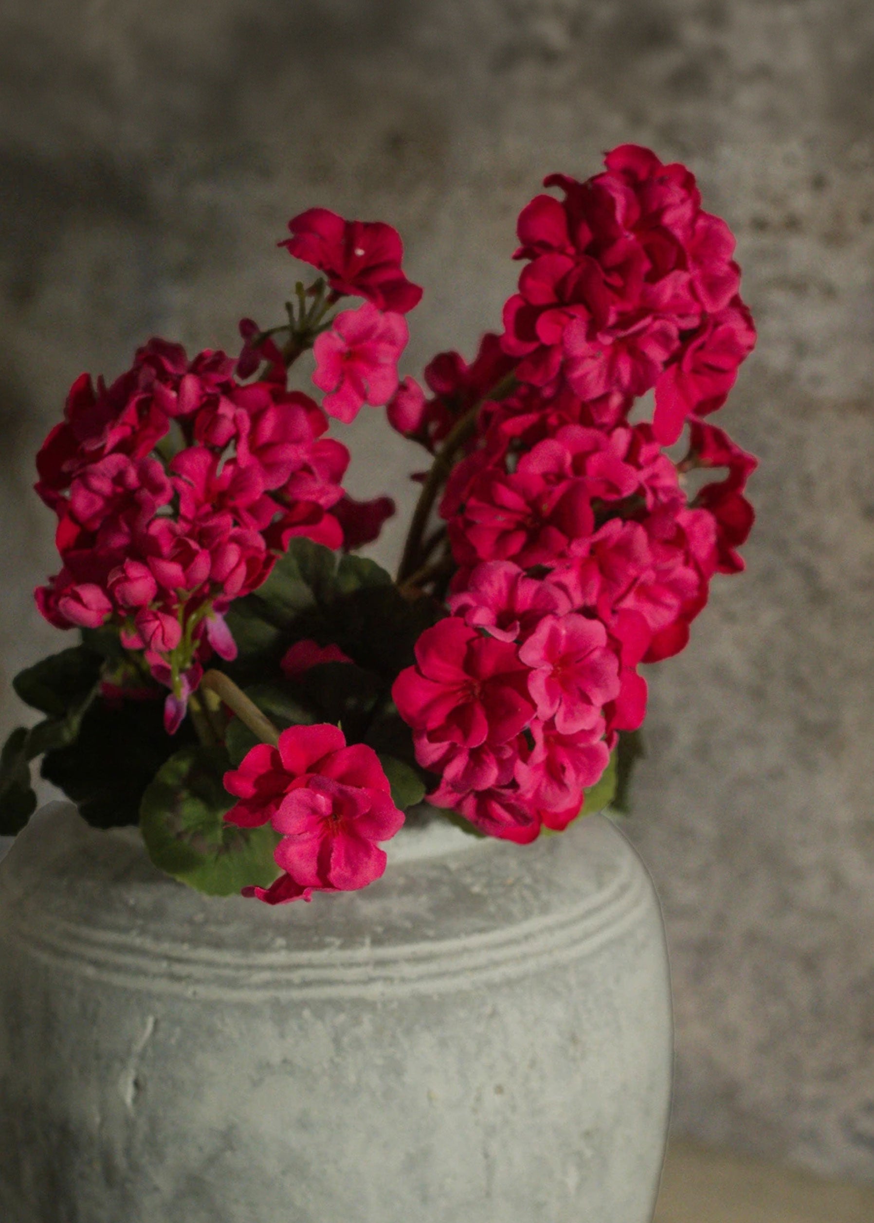 Artificial Geraniums in Dark Pink
