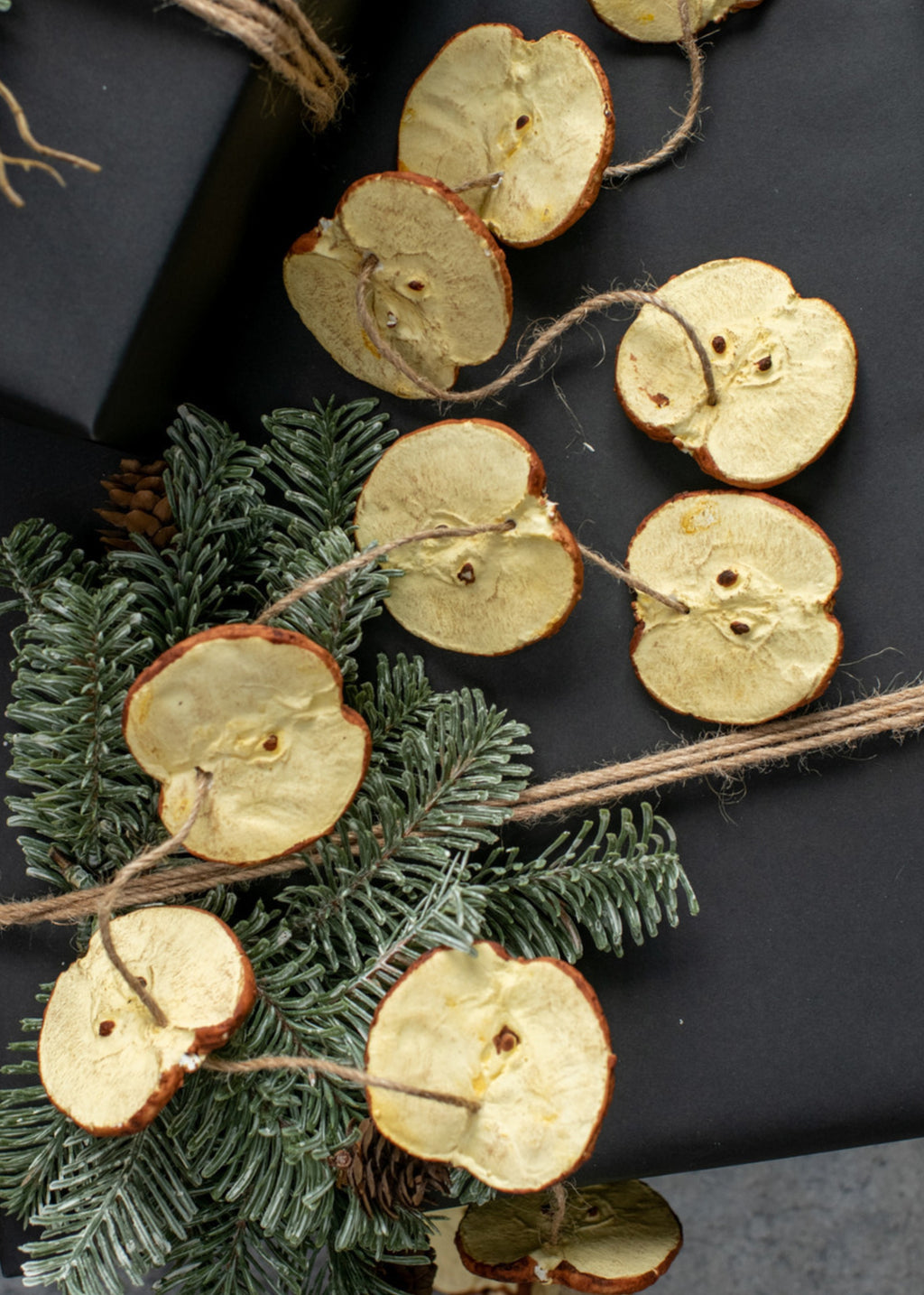 Decorative string faux dried apple slices