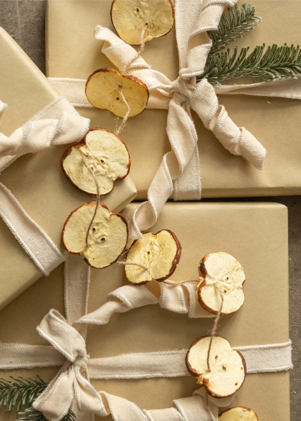 Gift wrapped in brown paper with white ribbon and faux dried apple slices 