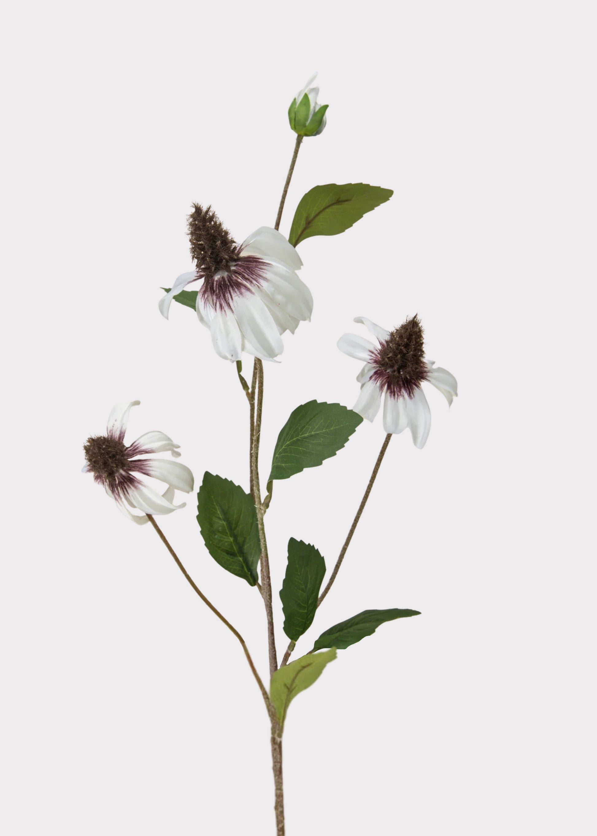 White Artificial Black-Eyed-Susan Wildflowers