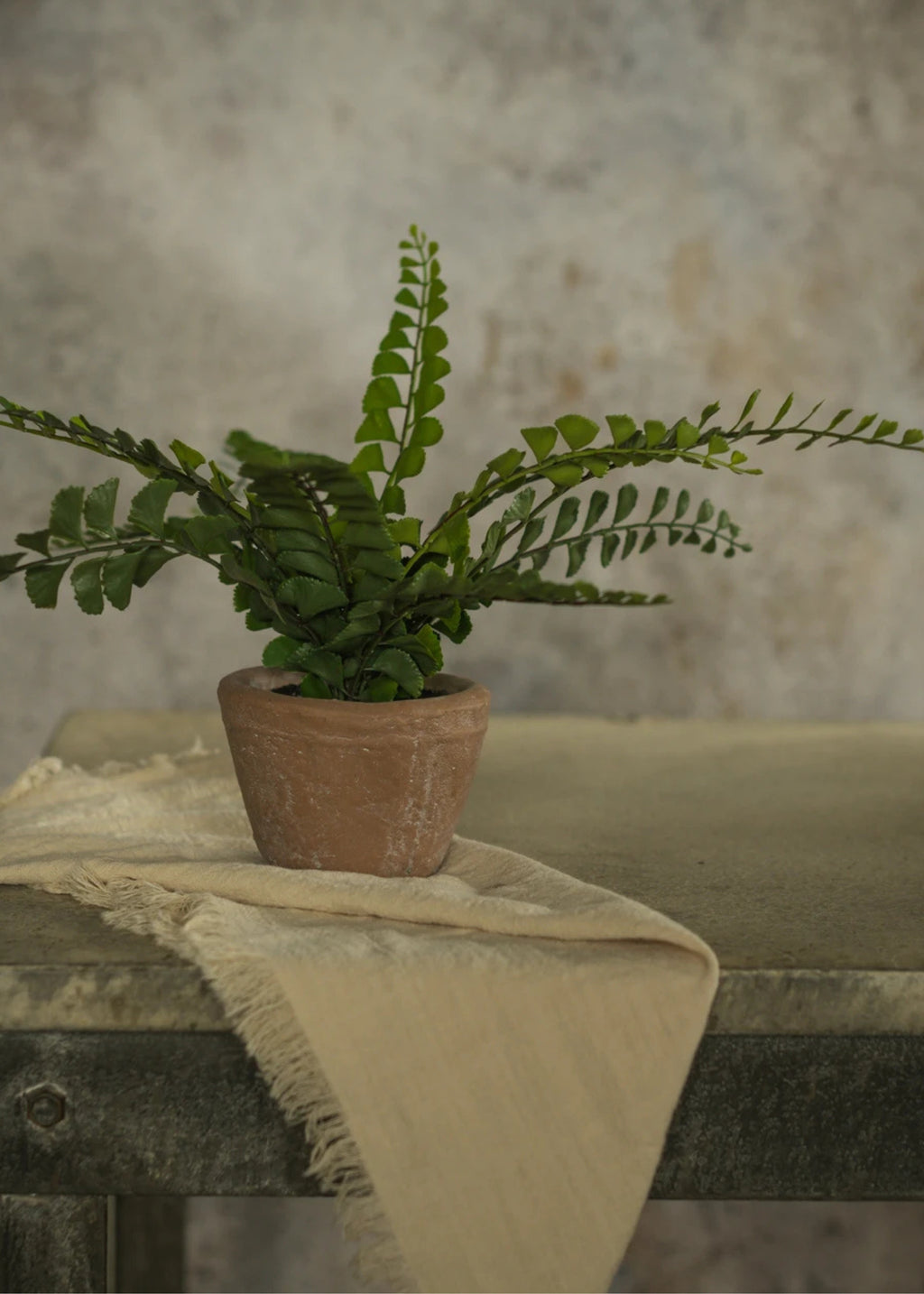 Artificial Button Fern Potted Plant 