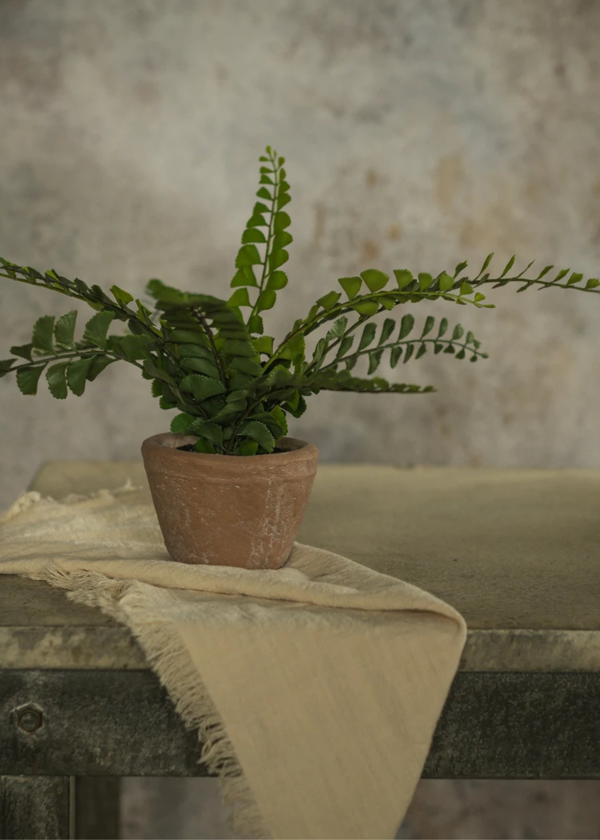 Artificial Button Fern Potted Plant 