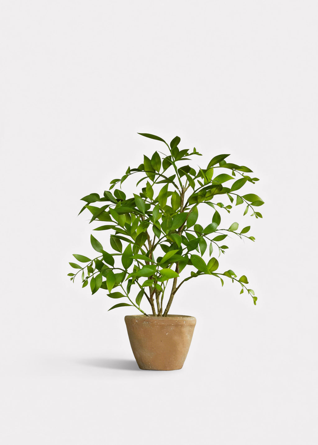 Artificial Potted Smilax Plant