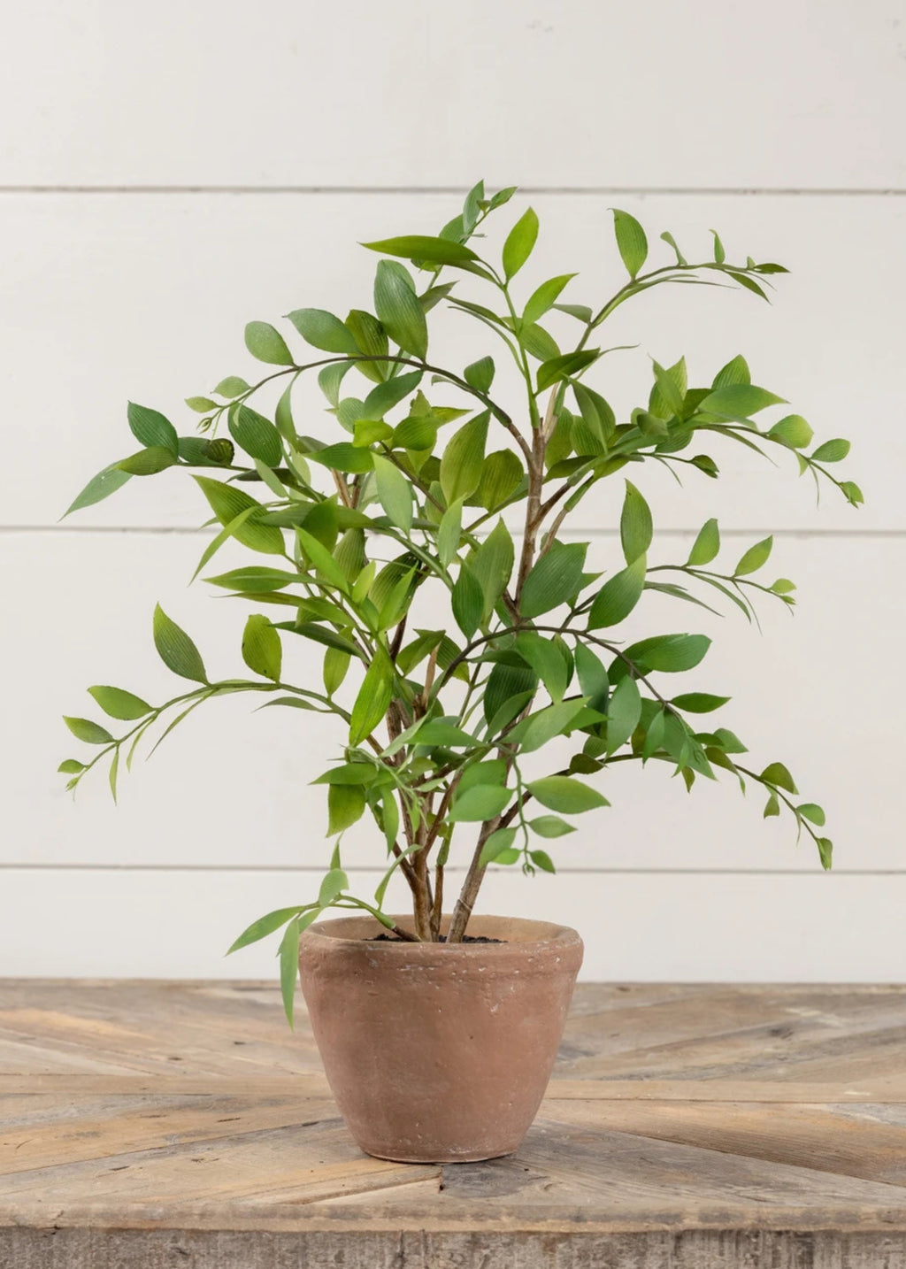 Artificial Smilax Leaf Potted Plant 