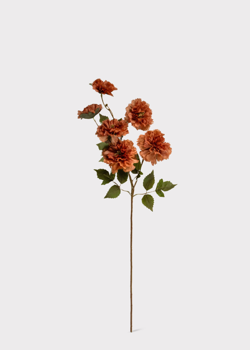Brown Artificial Carnation Flower Stem