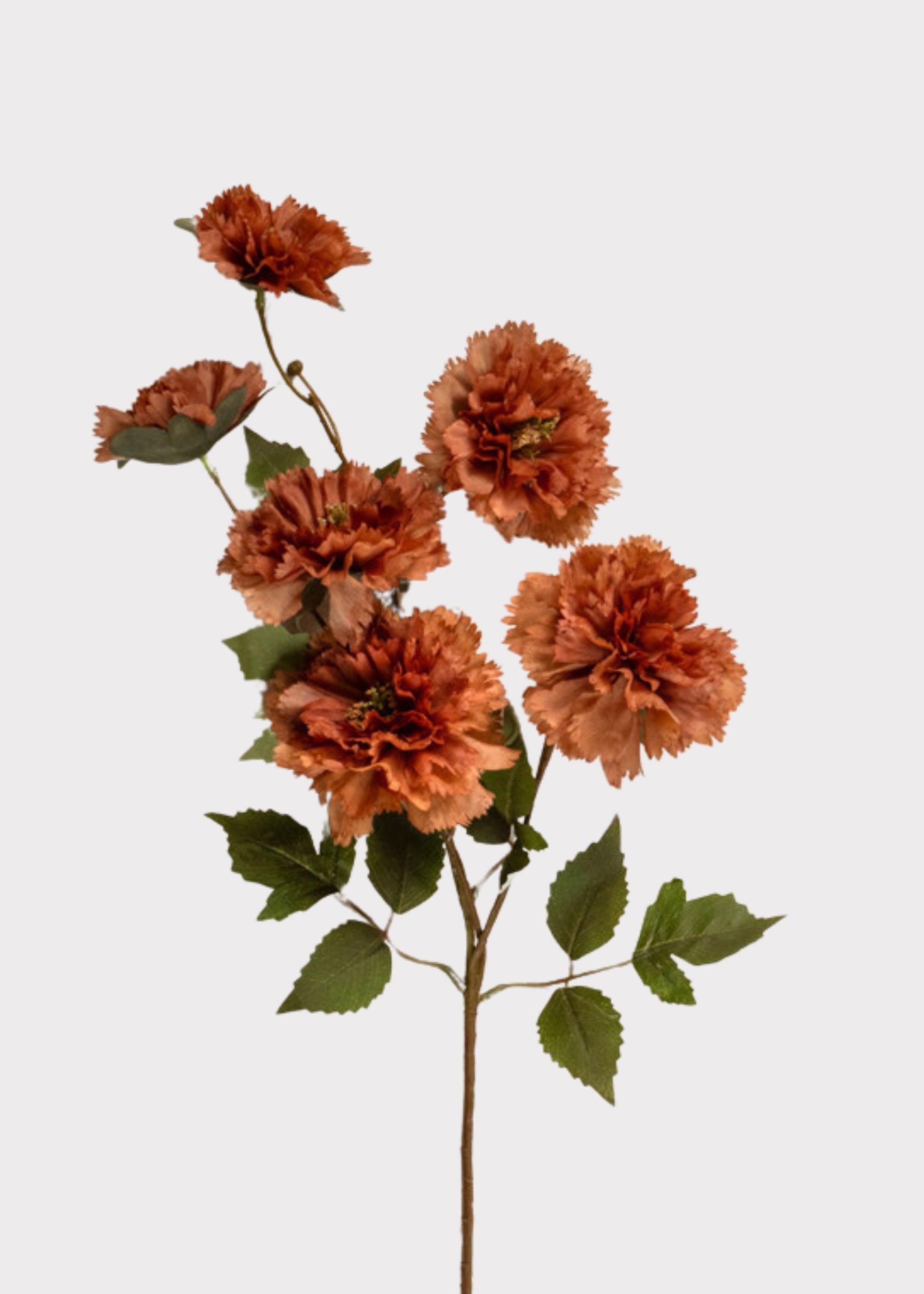 Artificial Carnation Flowers in Autumn Brown 