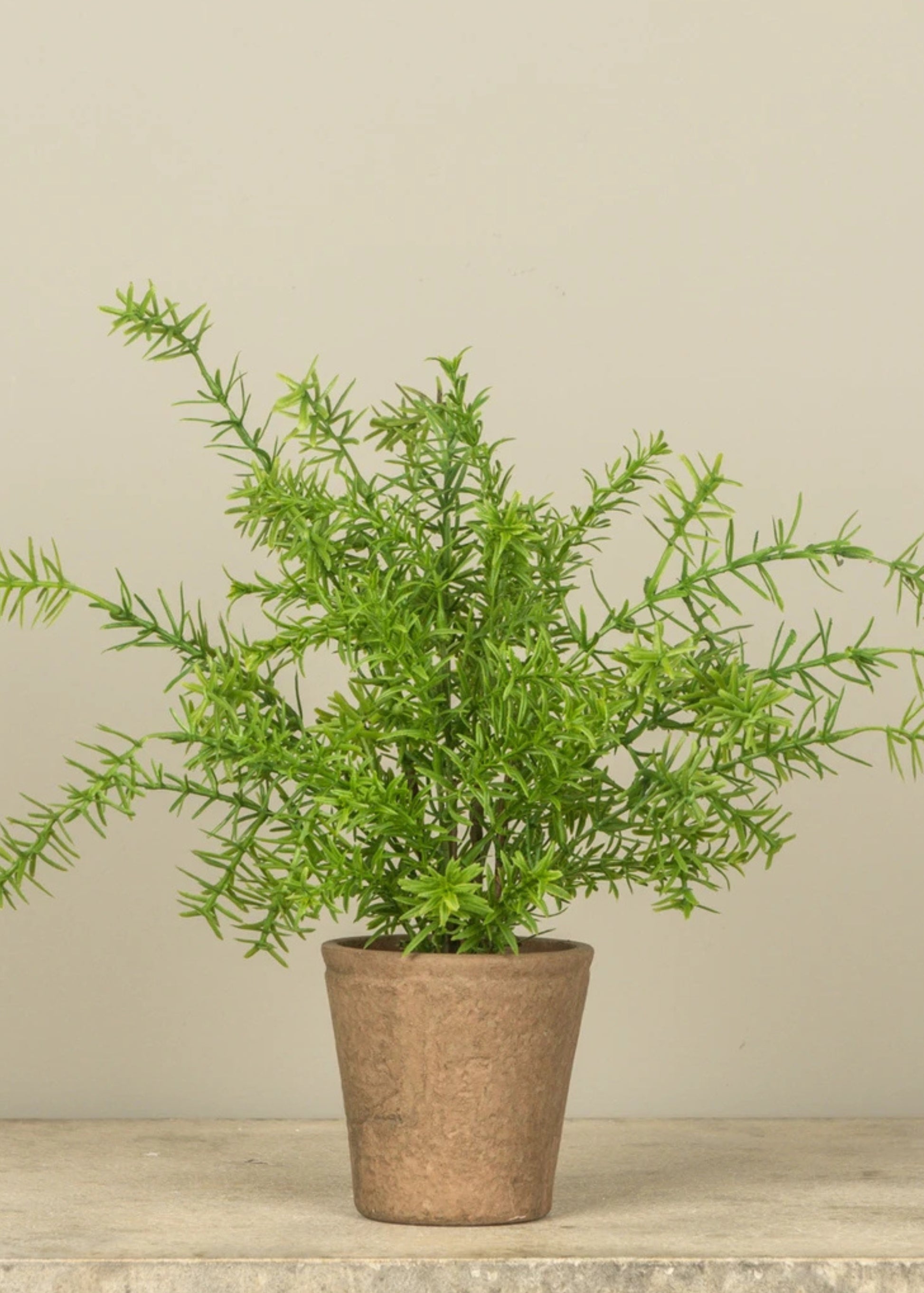 Fake Potted Rosemary Plant