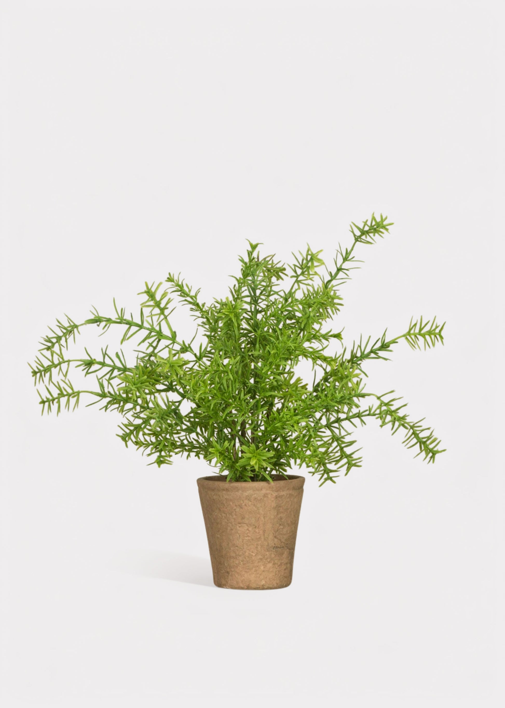 Artificial Potted Rosemary Herb Plant