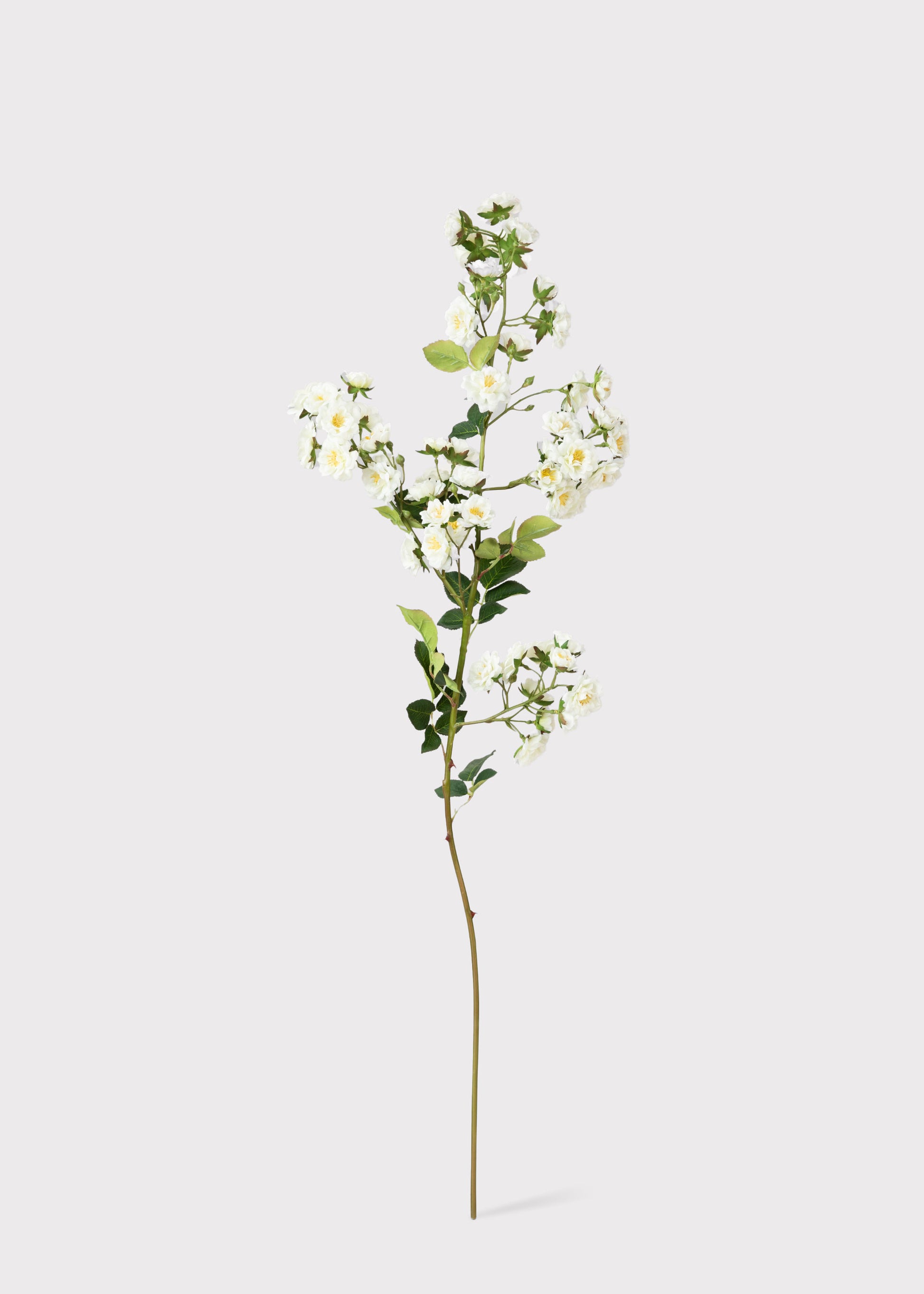 Climbing Fake Roses Branch in Cream White 