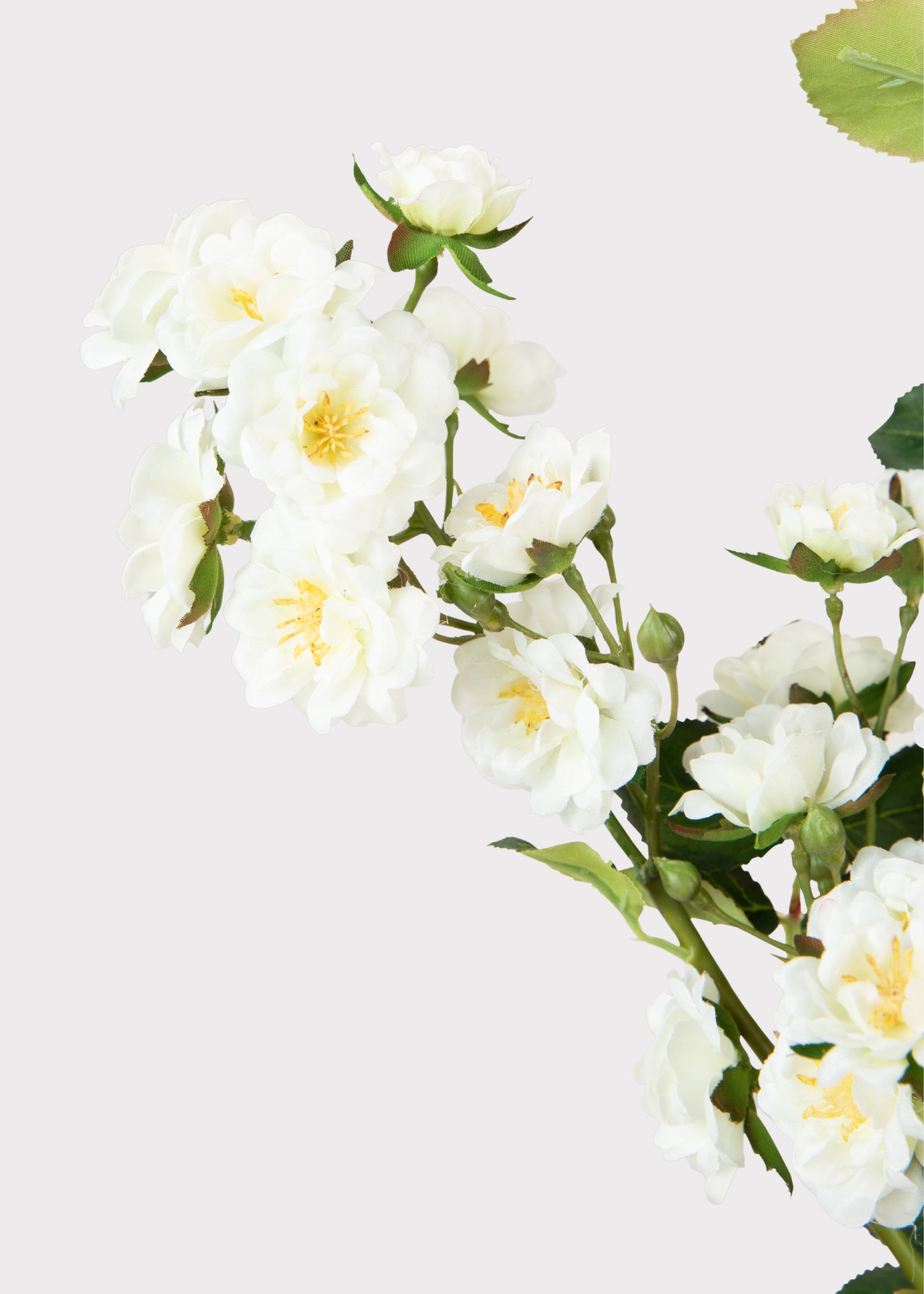 Cream White Climbing Fake Roses 