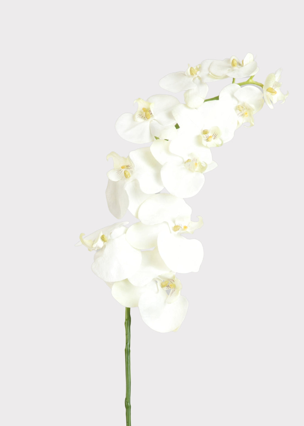 White Cream Artificial Phalaenopsis Orchids