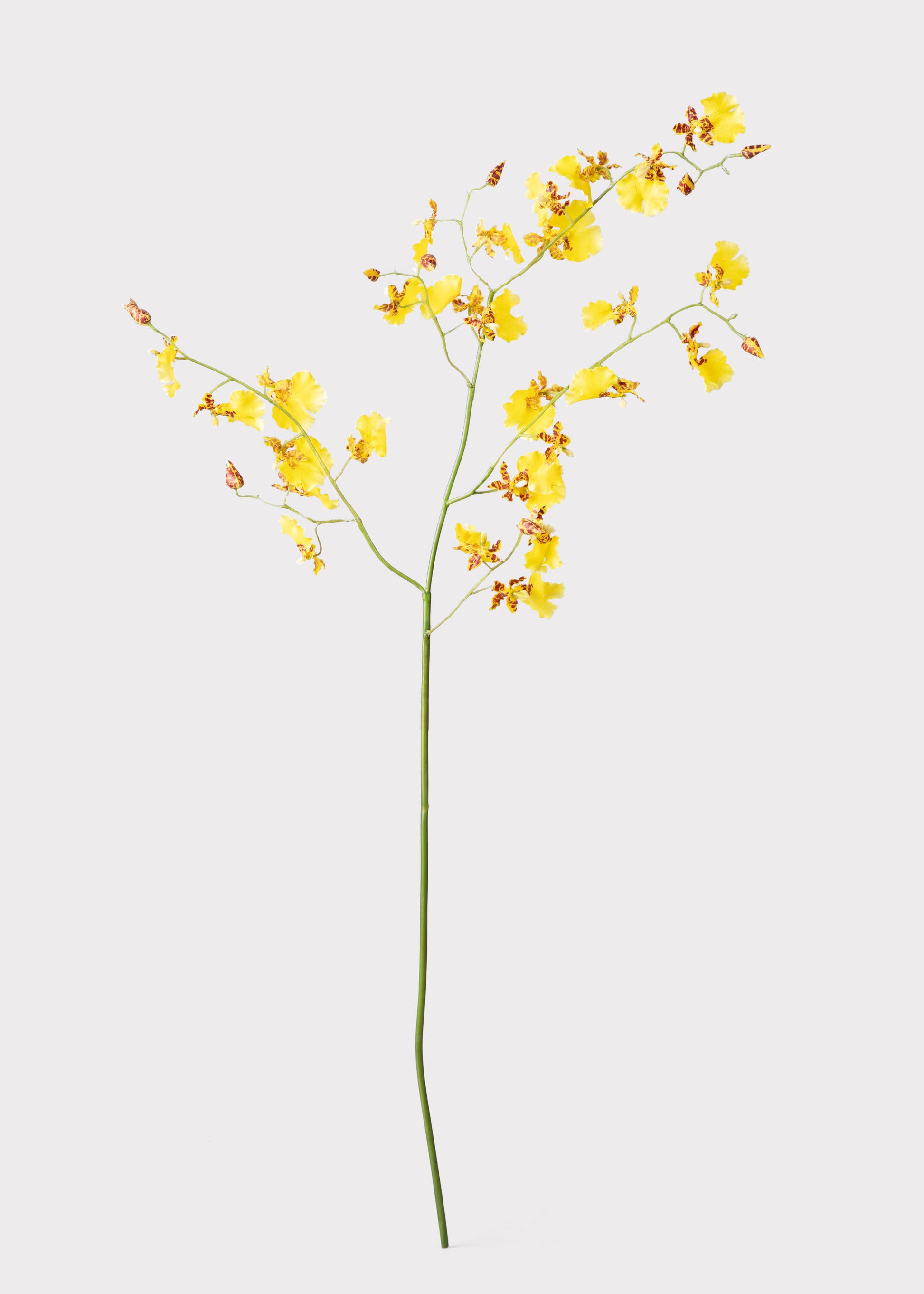Artificial Dancing Orchids in Yellow 