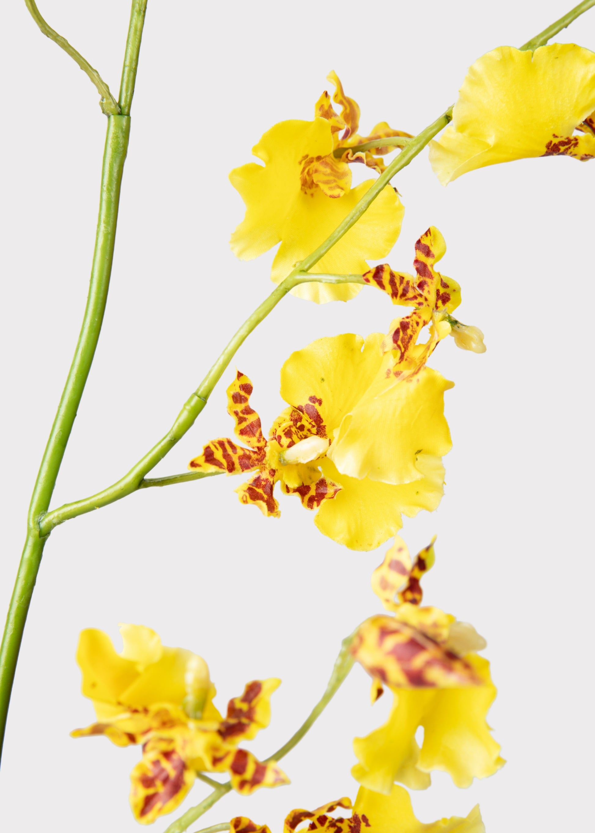 Fake Dancing Orchid Flowers