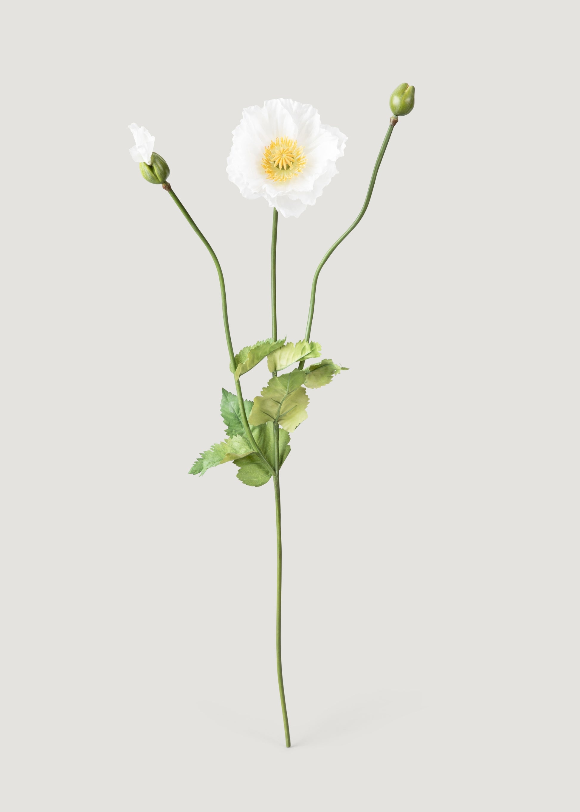 Faux Poppy Flower in Cream White