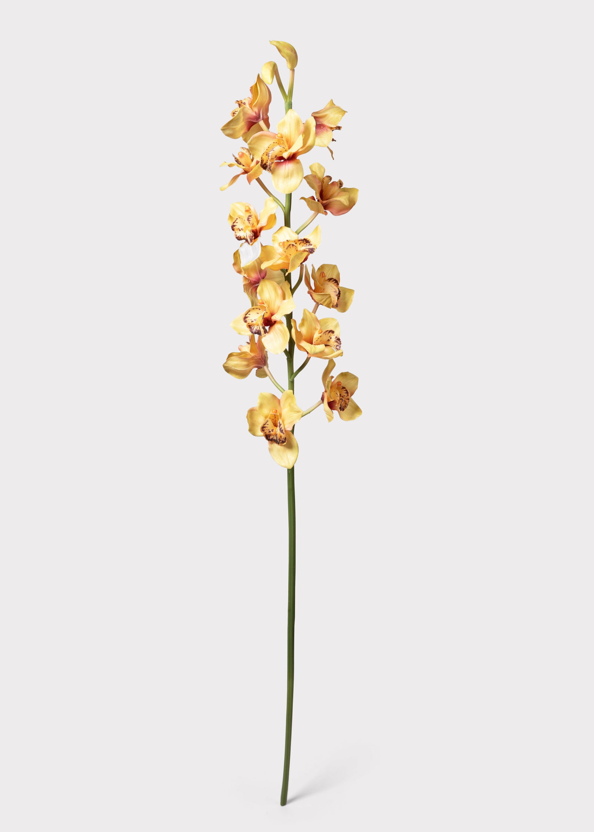 Faux Cymbidium Orchid