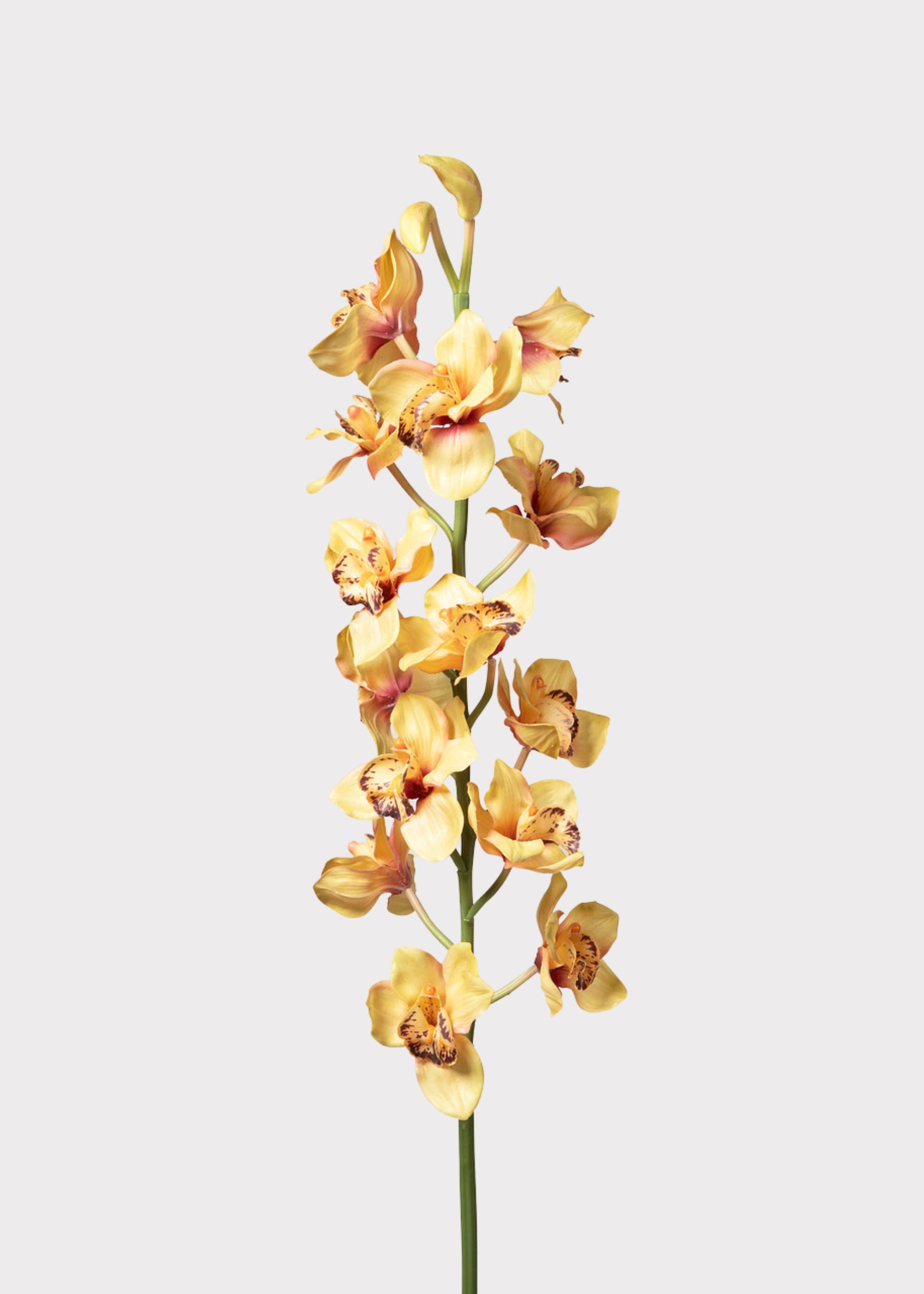 Yellow Faux Cymbidium Orchid