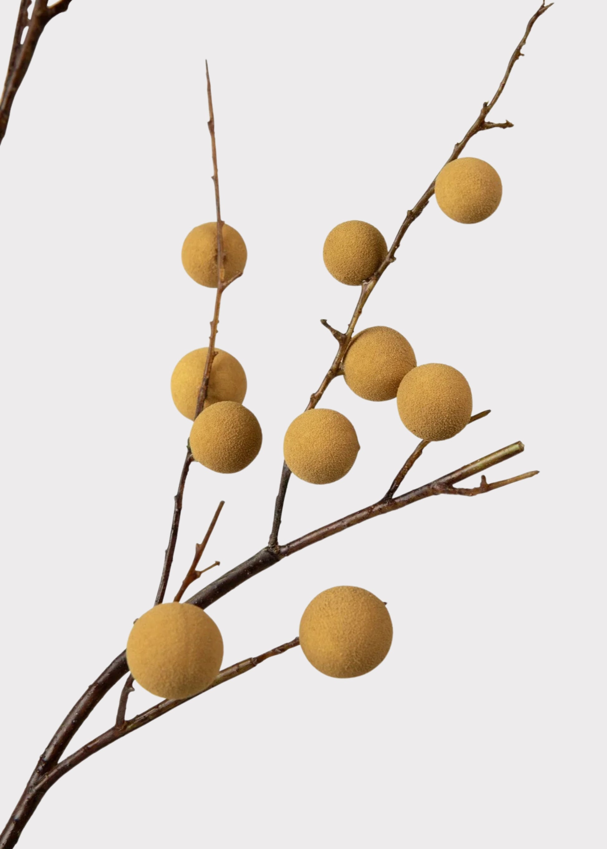 Closeup of Faux Longan Fruit Branch