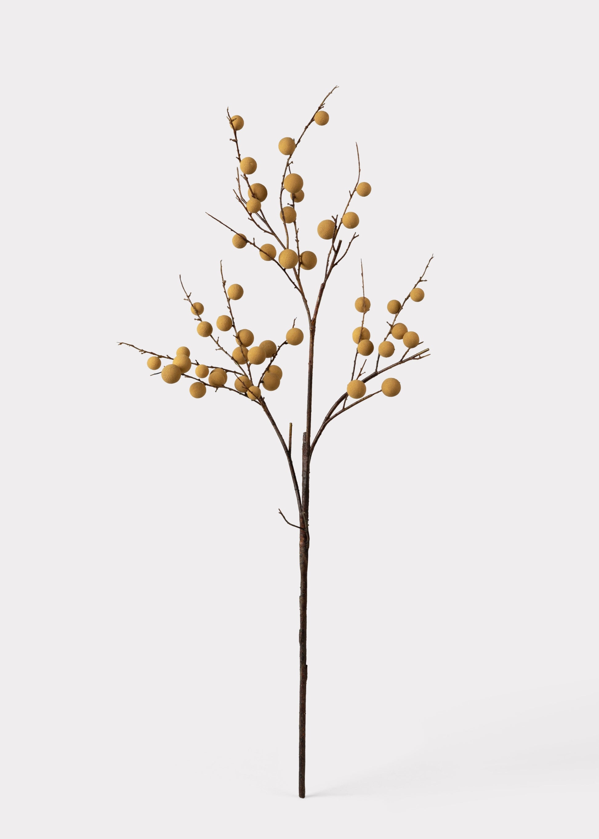 Artificial Tropical Longan Fruit Branch