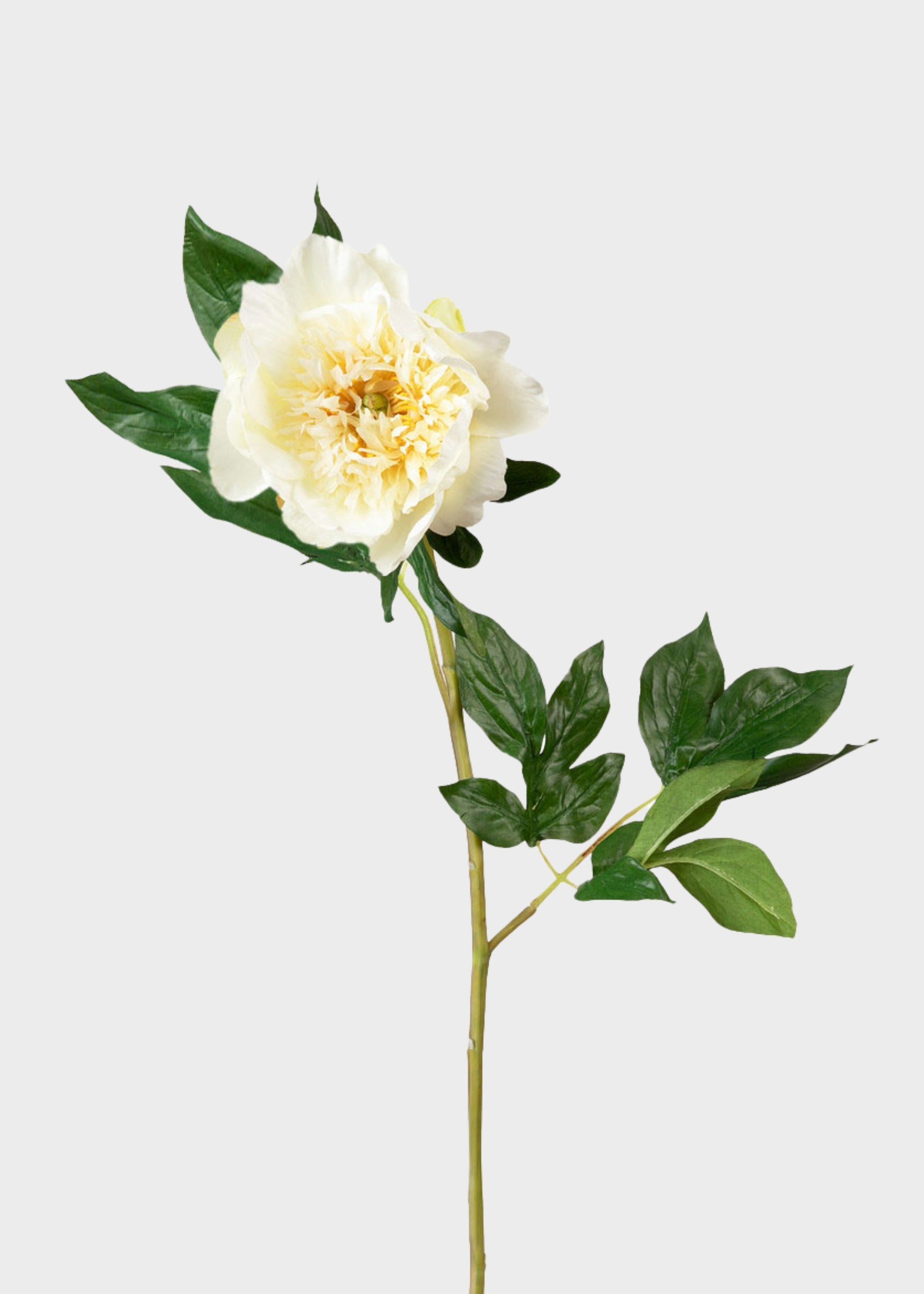 Artificial Cream Peony