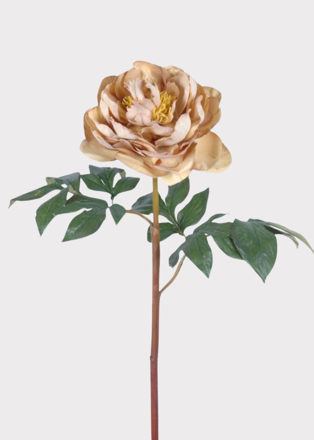 Faux Peony in Fawn 