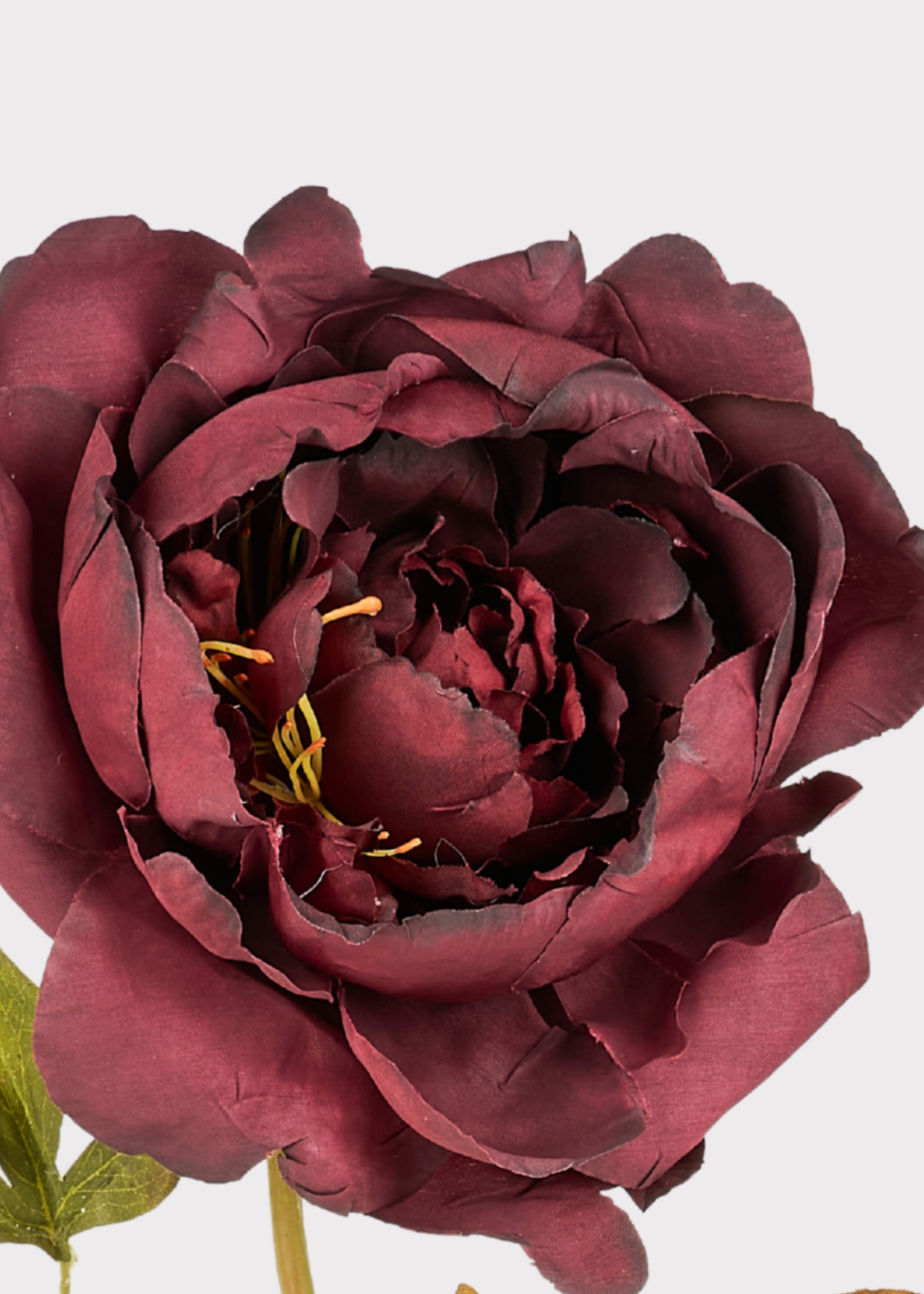 Close-up of Smokey Plum Purple Faux Peony