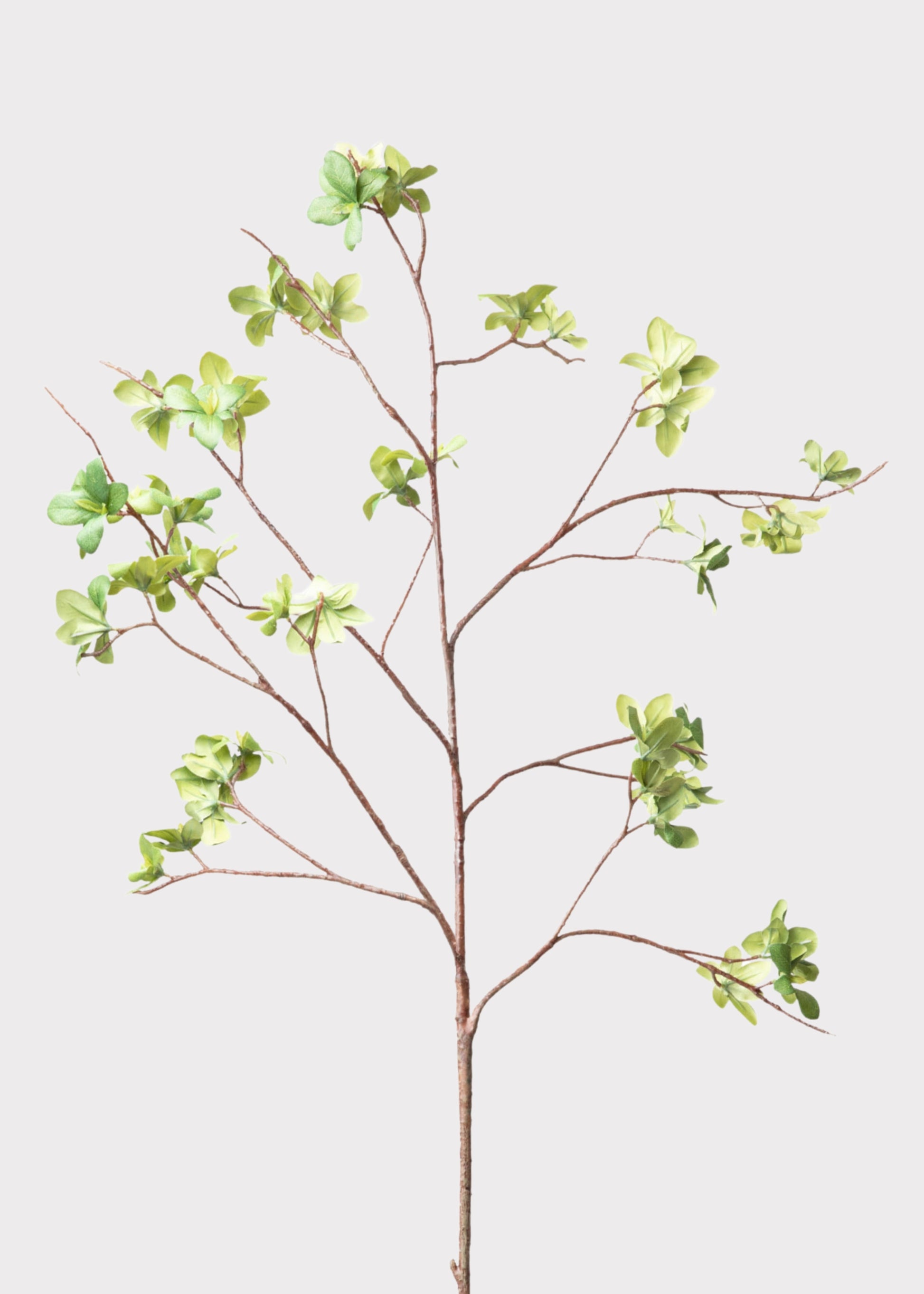 Tall Artificial Young Leaf Branch