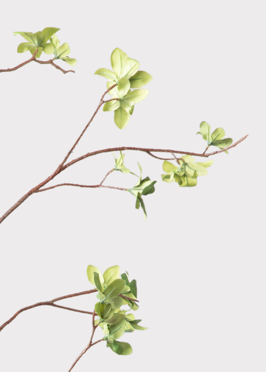Close-up of an artificial Young Leaf Branch