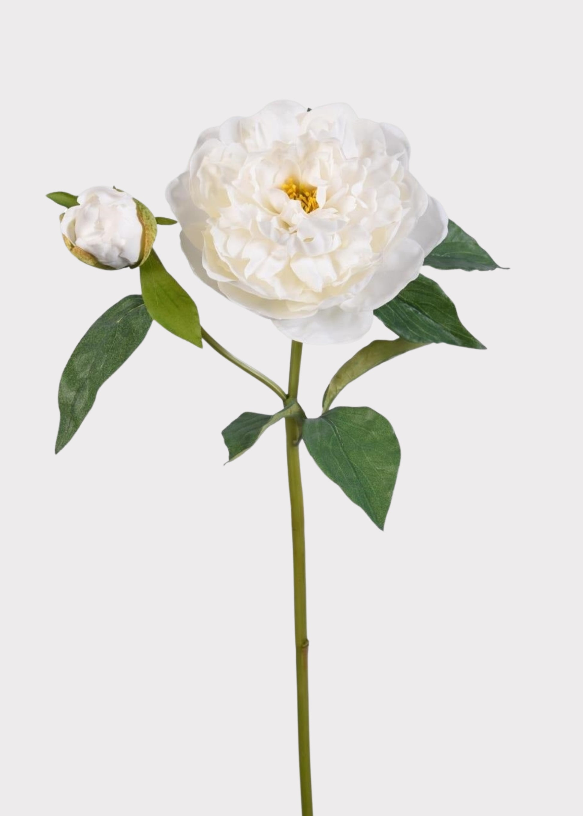 Natural Touch Peony Faux Flower in White