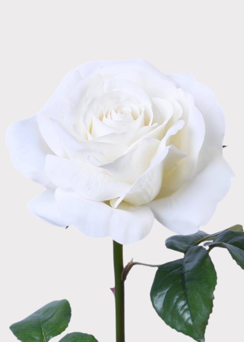 Natural Touch Artificial Rose in White