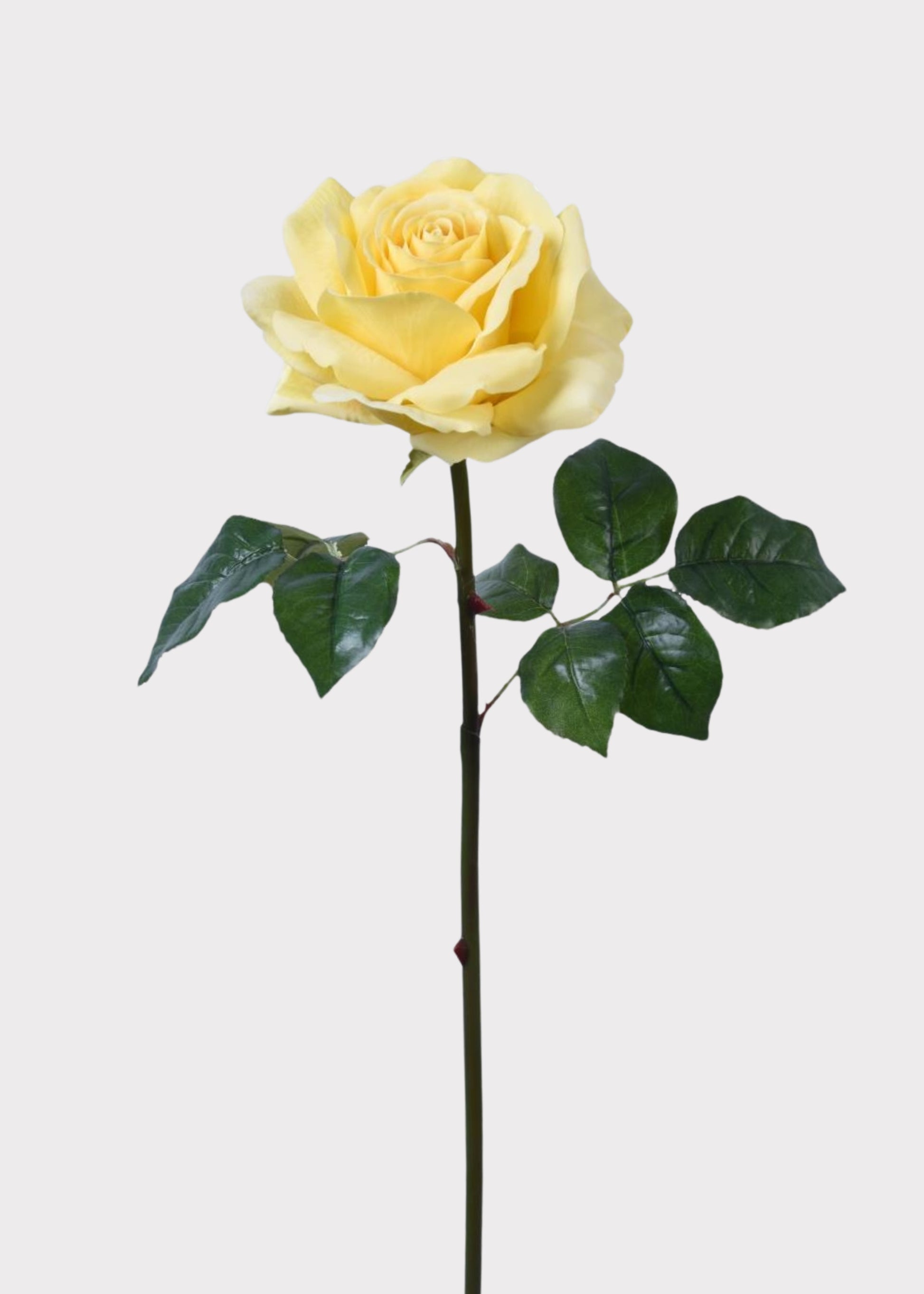 Yellow  Natural Touch Rose 
