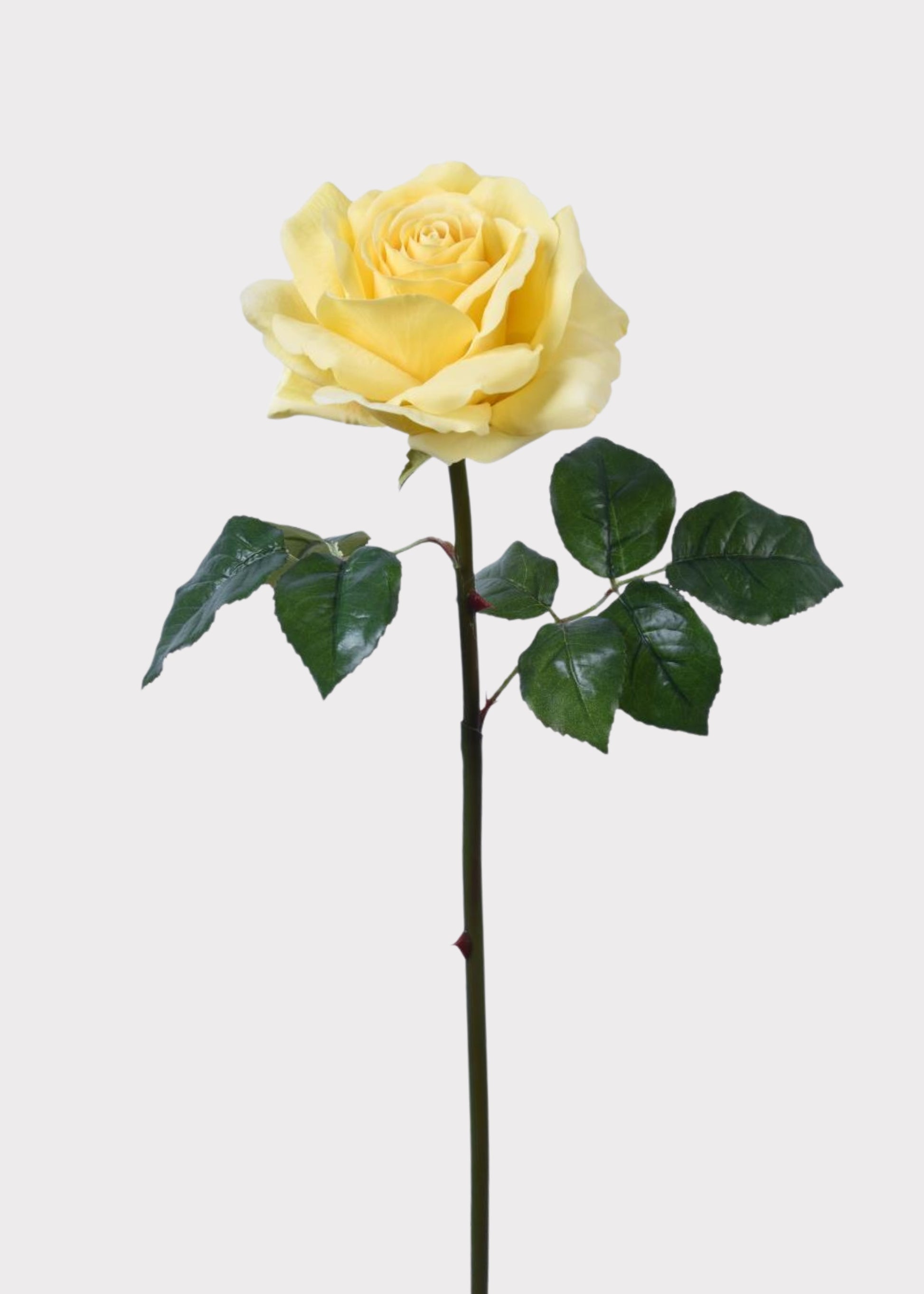 Yellow  Natural Touch Rose 