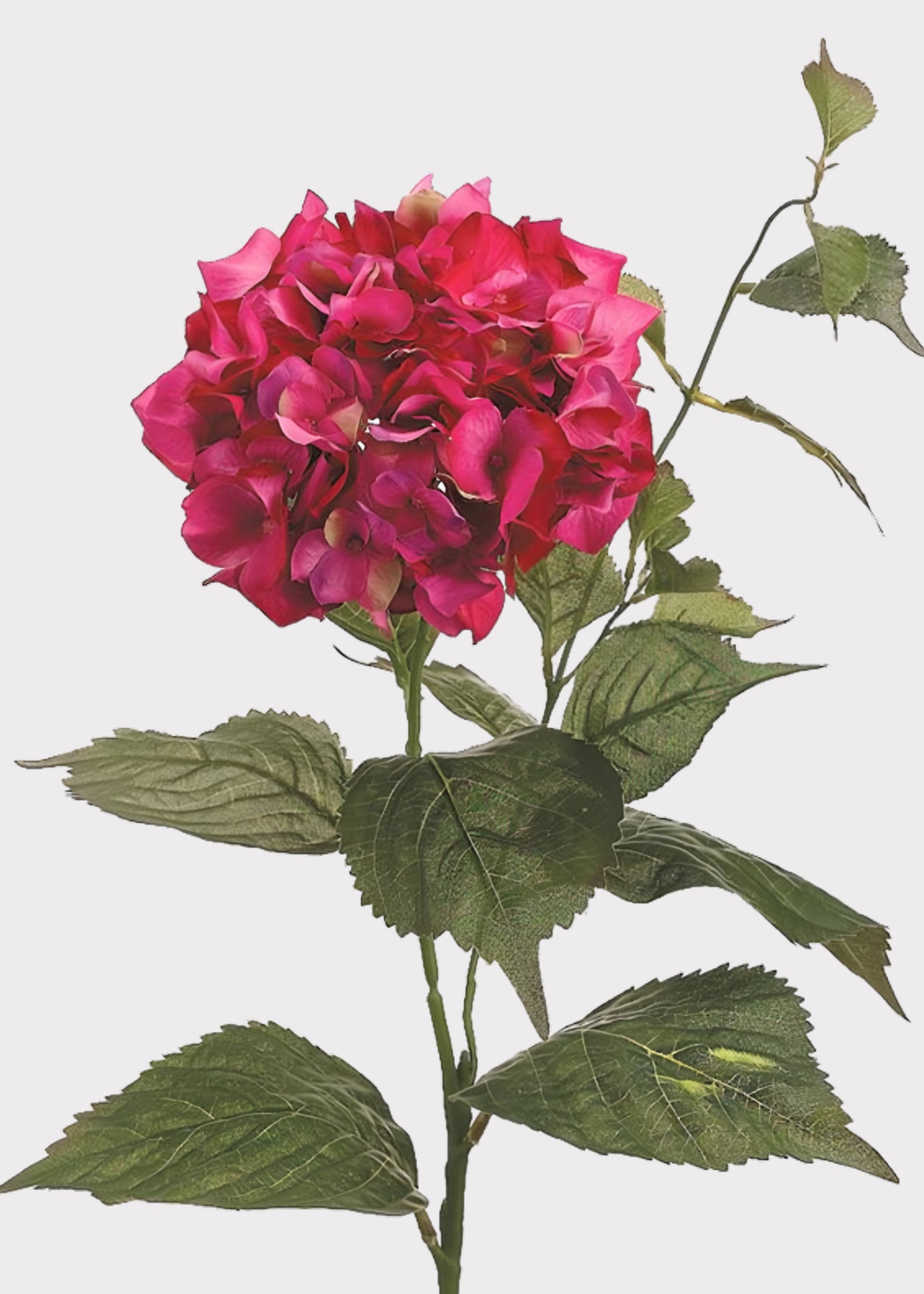 Bright Pink Faux Hydrangea