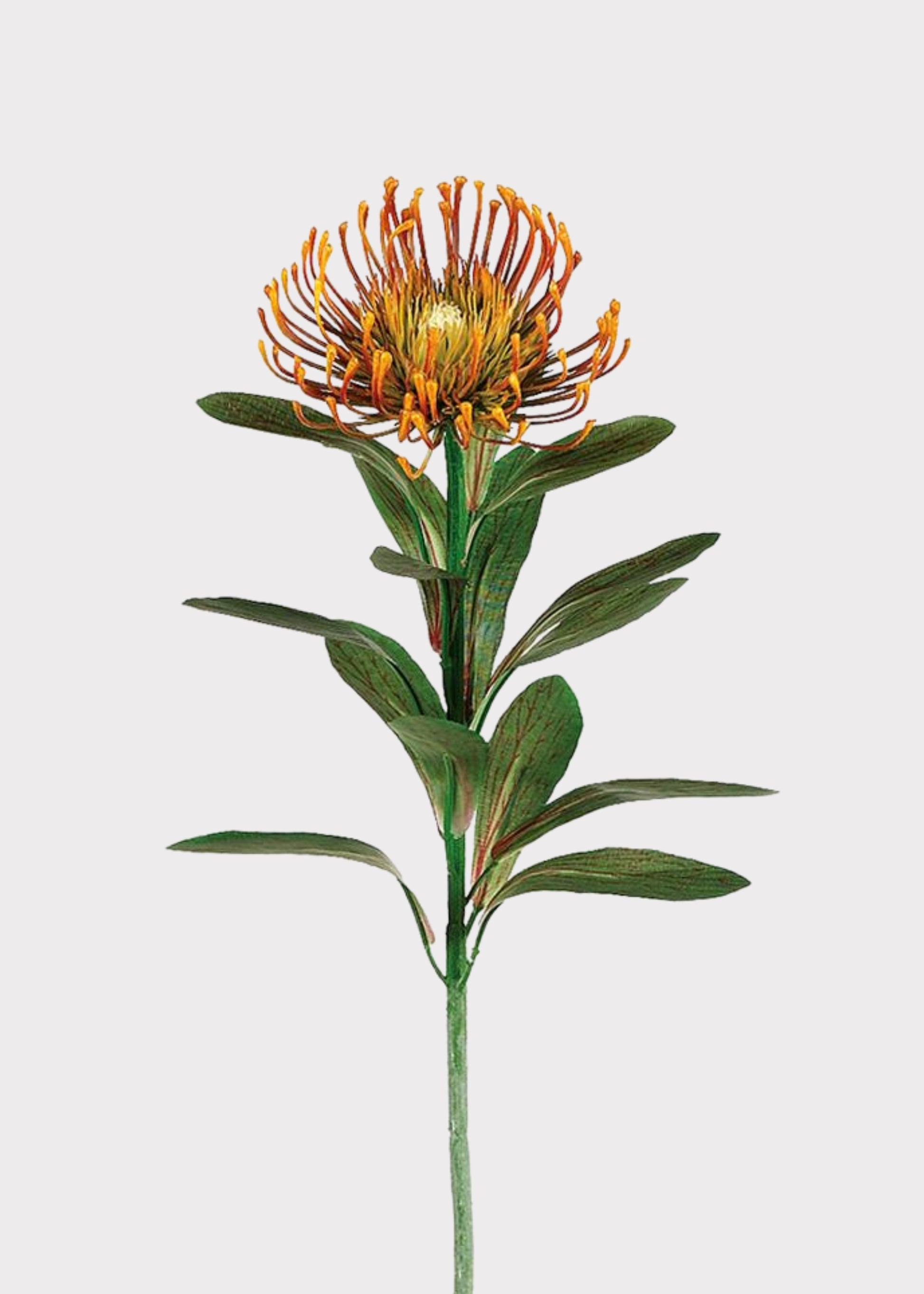 Rust Orange Artificial Pincushion Protea 