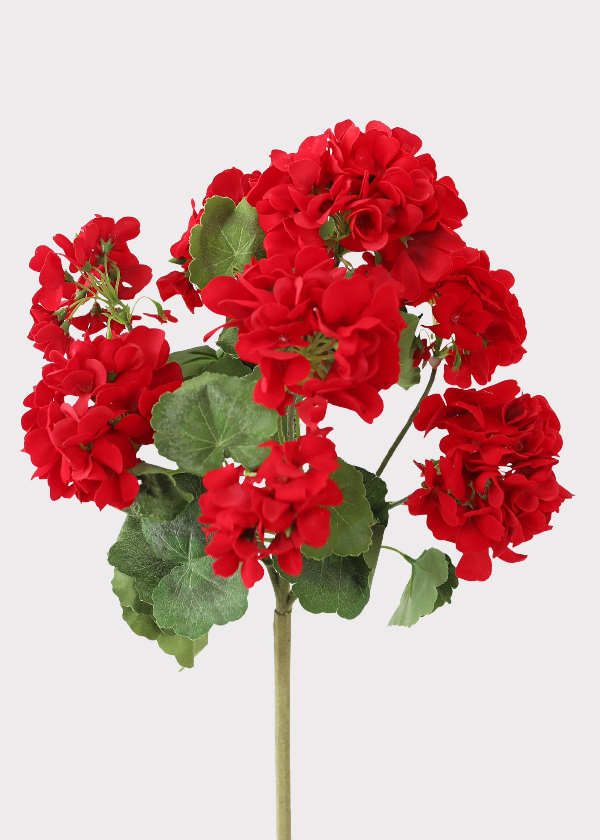 Fake Geraniums in Red