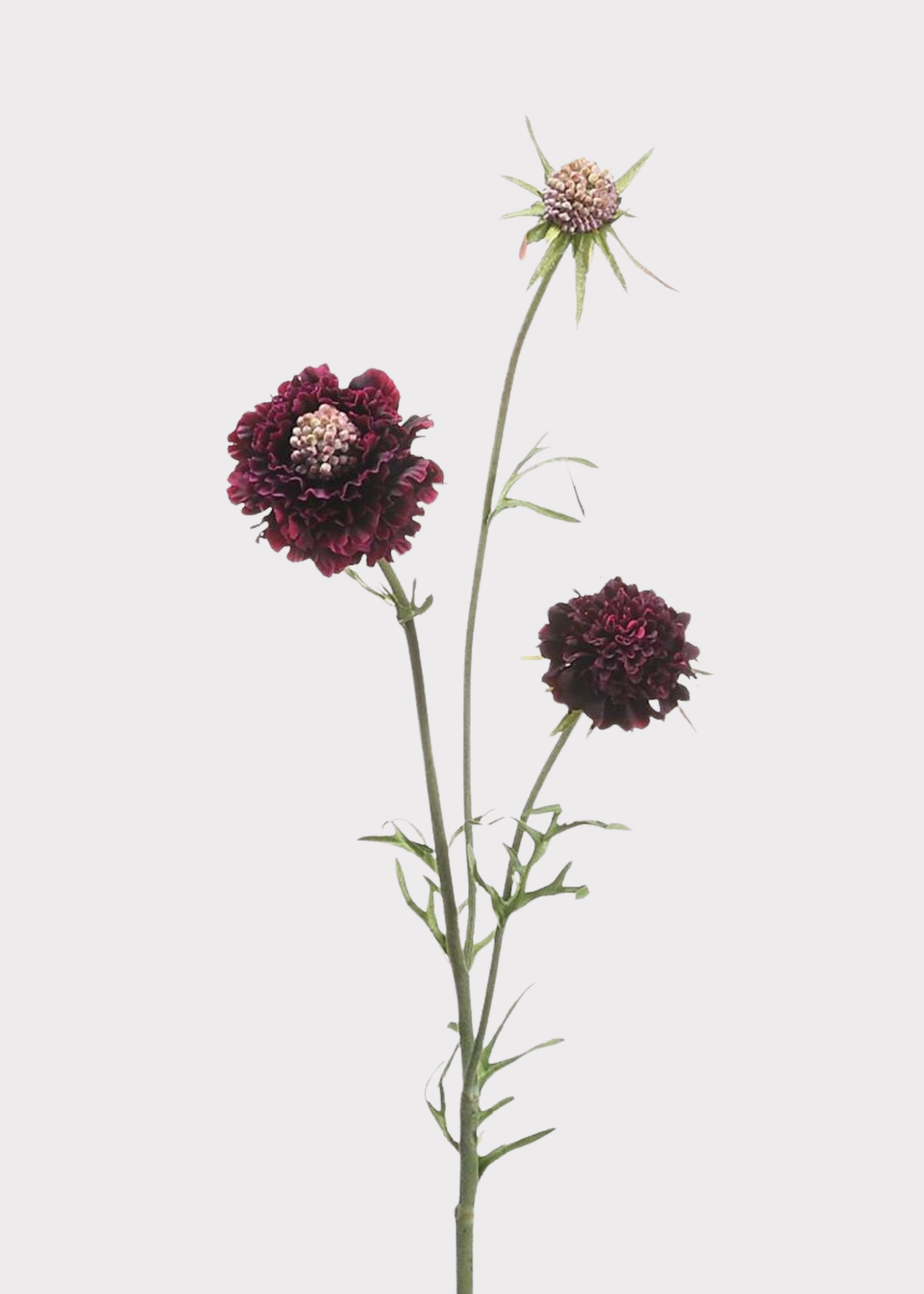 Fake Scabiosa Wildflowers in Eggplant